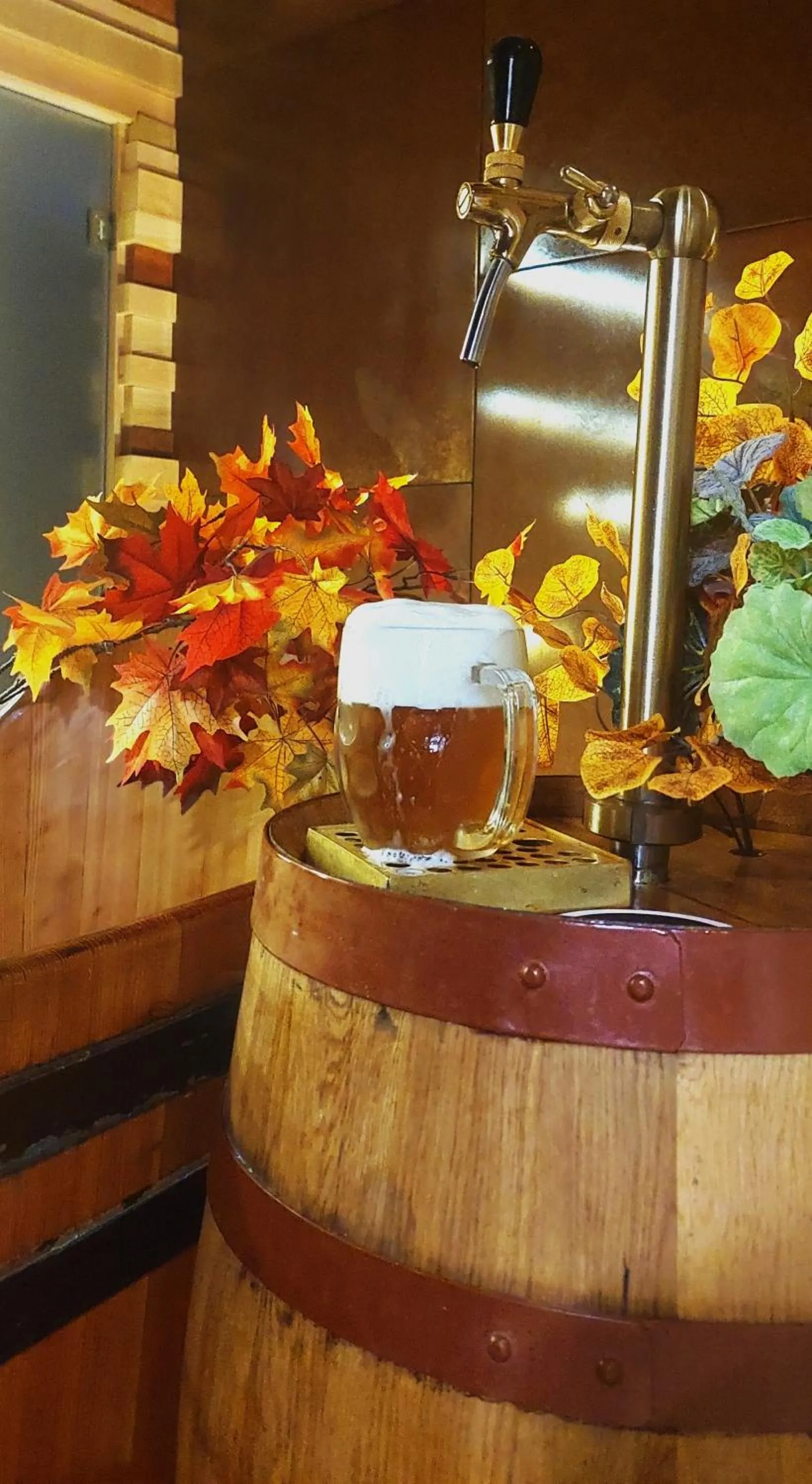 Drinks in Hotel Purkmistr