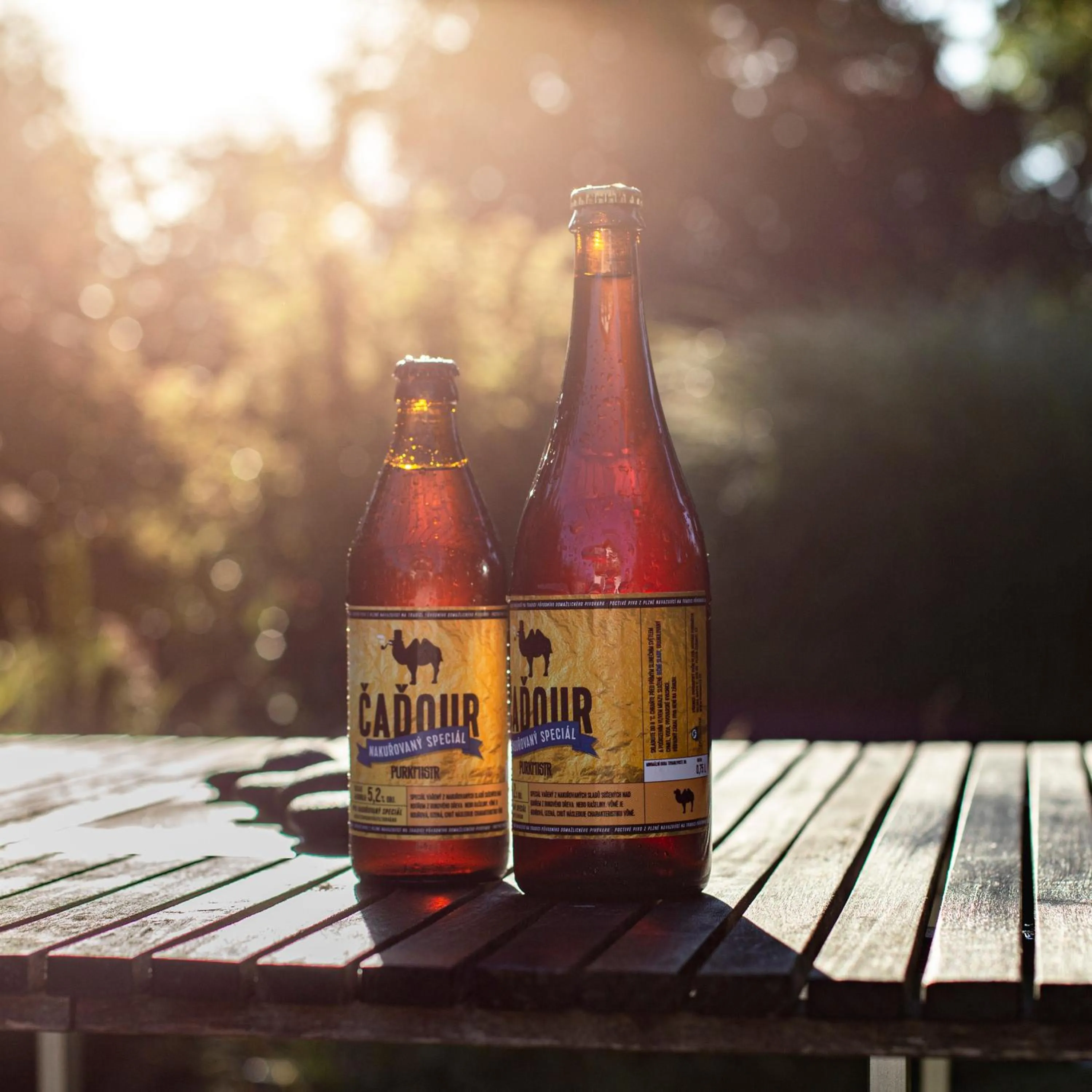 Food and drinks in Hotel Purkmistr