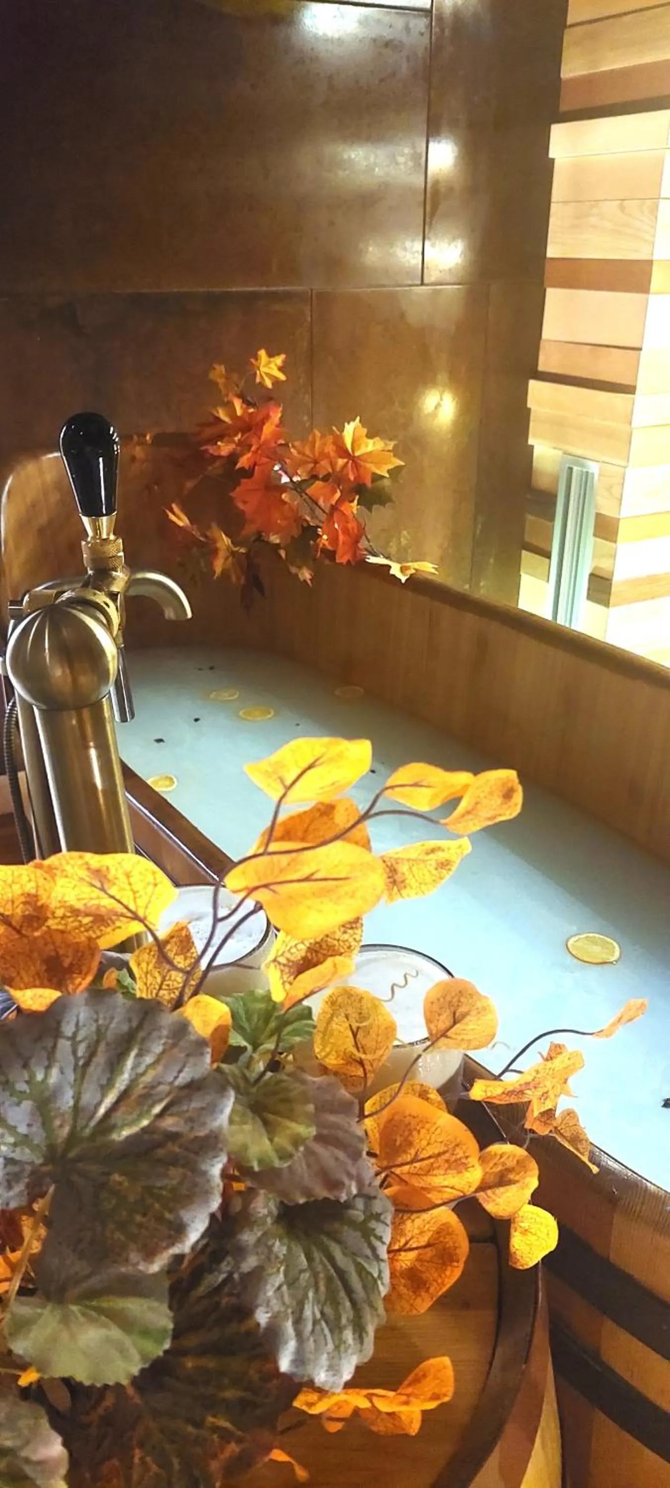 Spa and wellness centre/facilities in Hotel Purkmistr