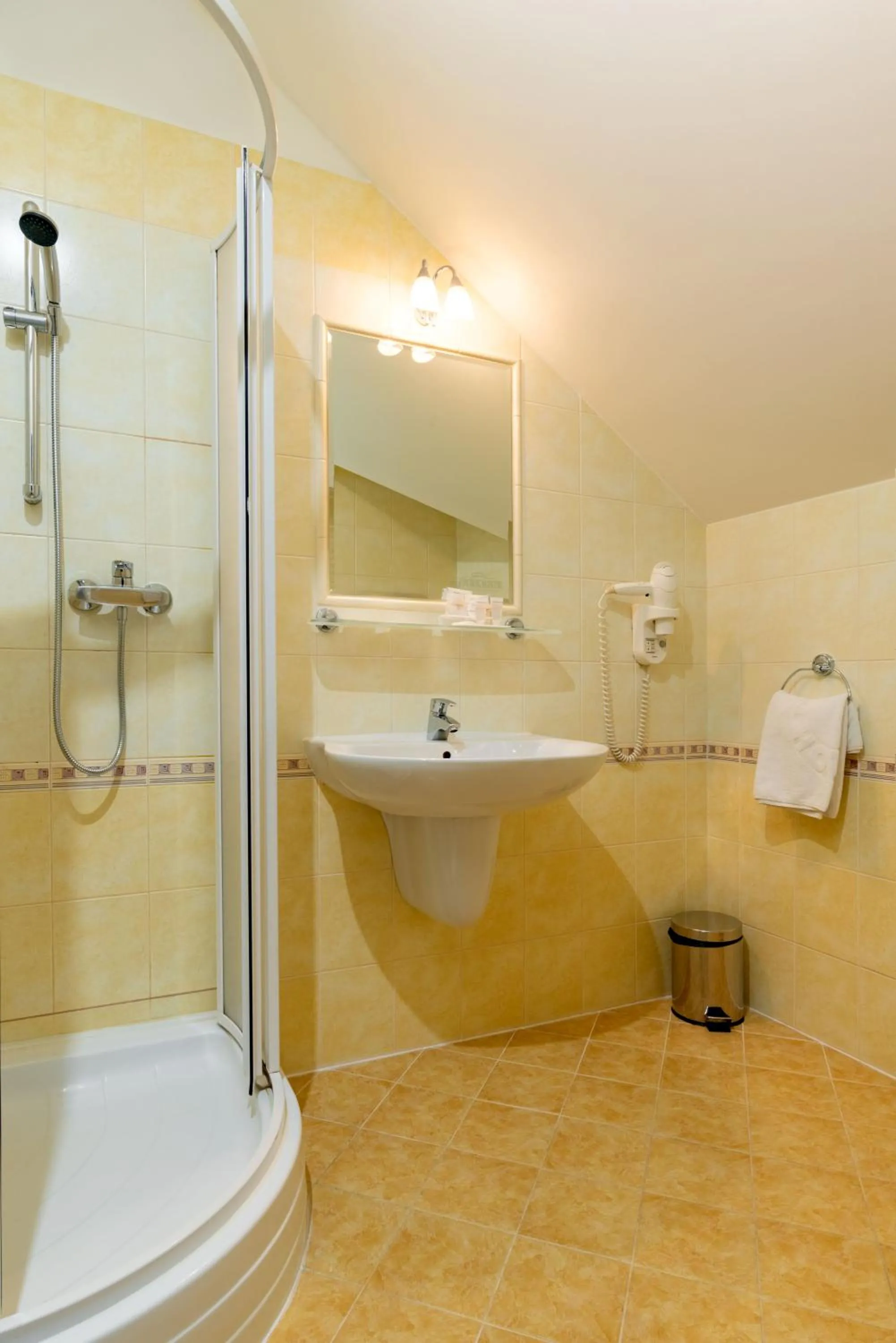 Bathroom in Hotel Purkmistr