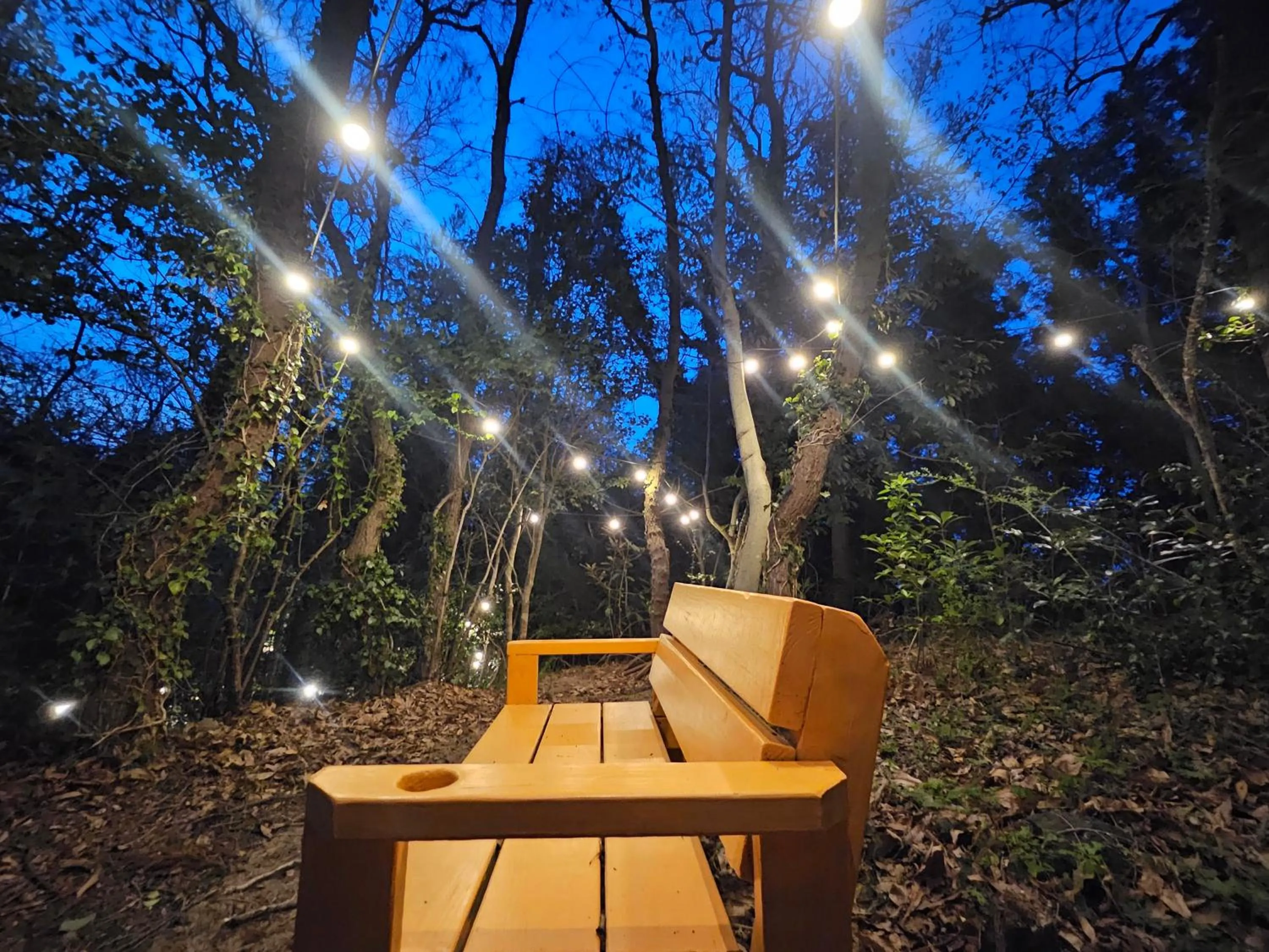 Garden in Pool and Villa Sorang