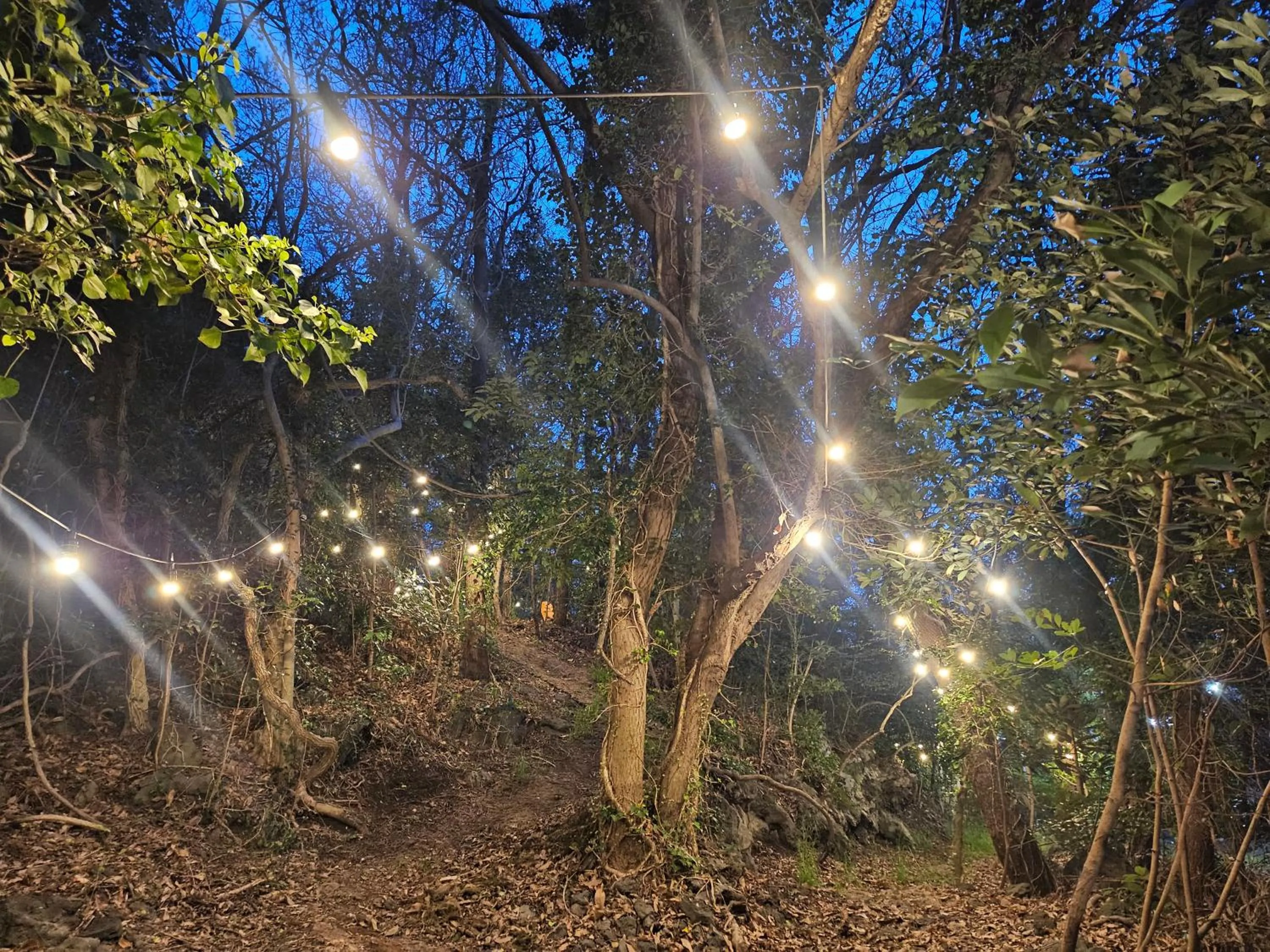 Garden in Pool and Villa Sorang