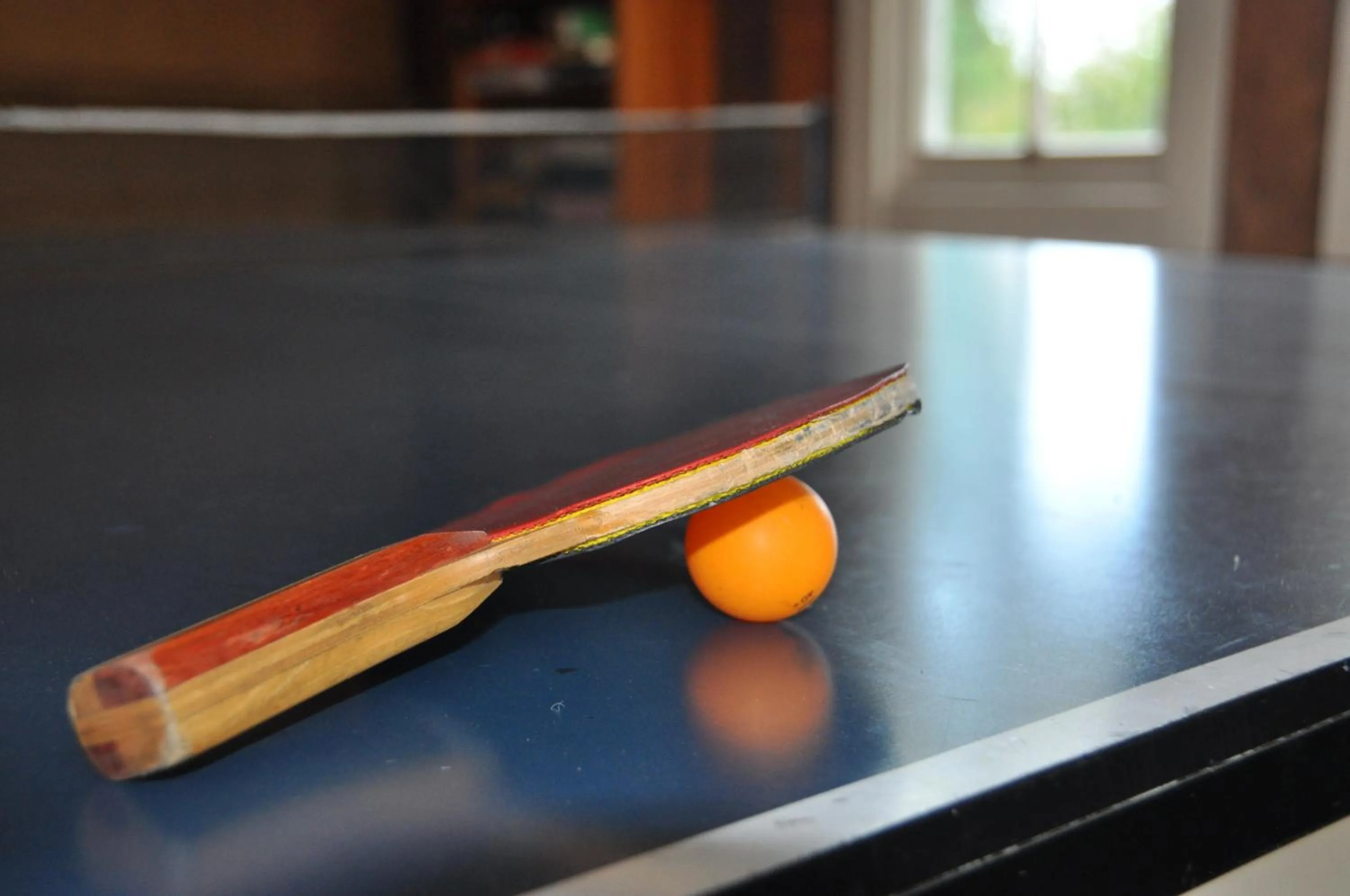 Table tennis in Kauri Villas