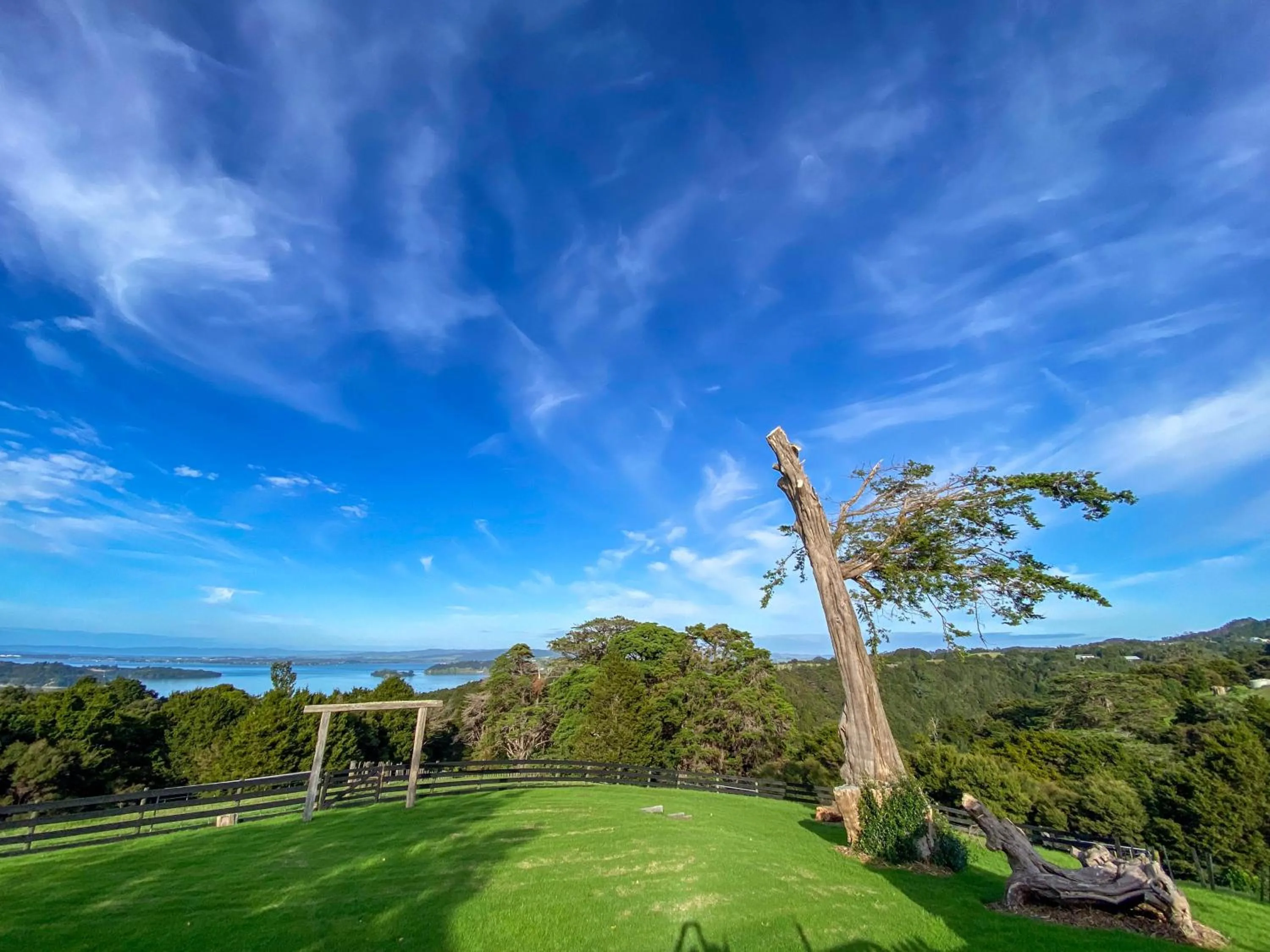 Garden view in Kauri Villas