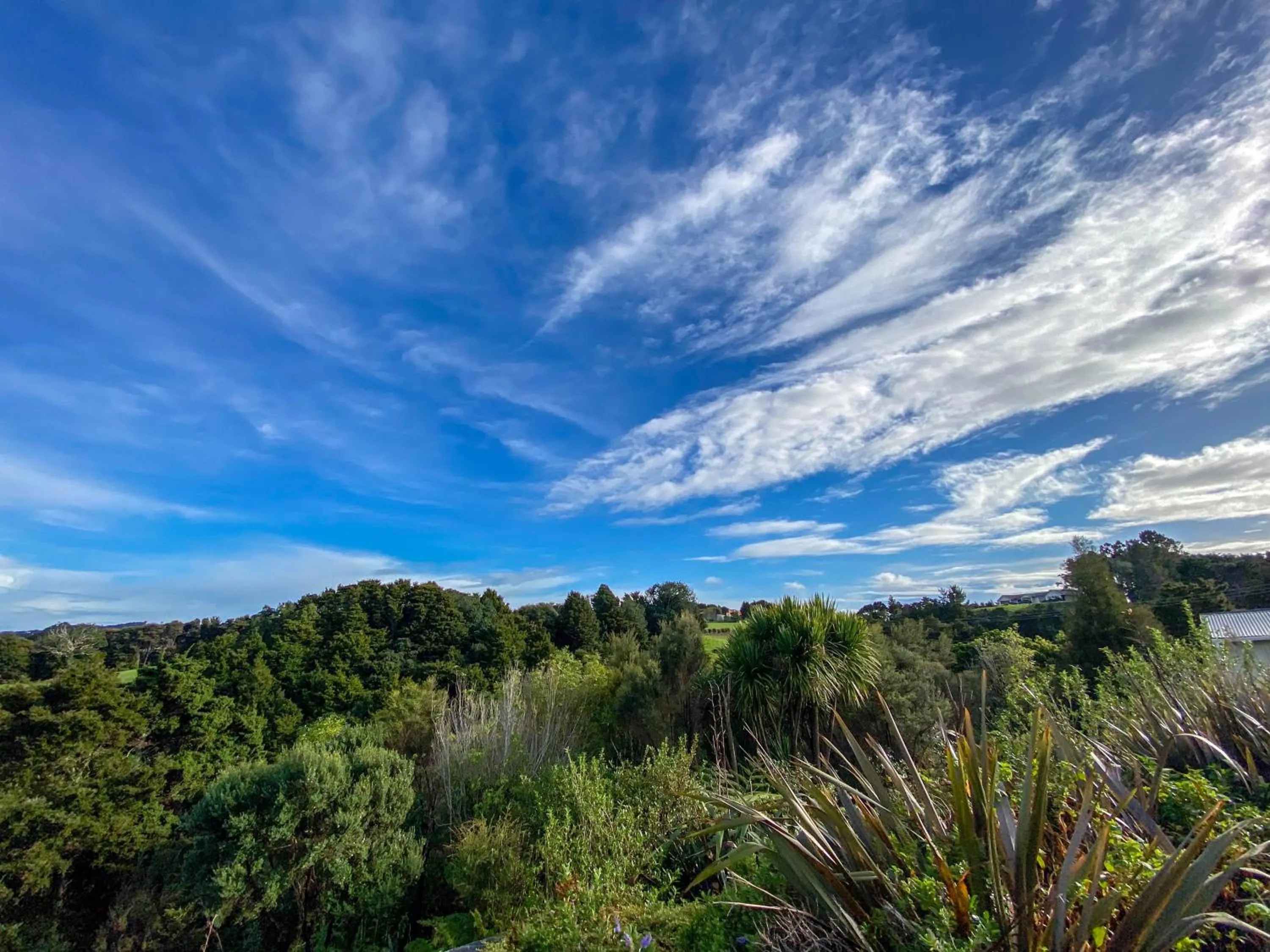 Garden view in Kauri Villas
