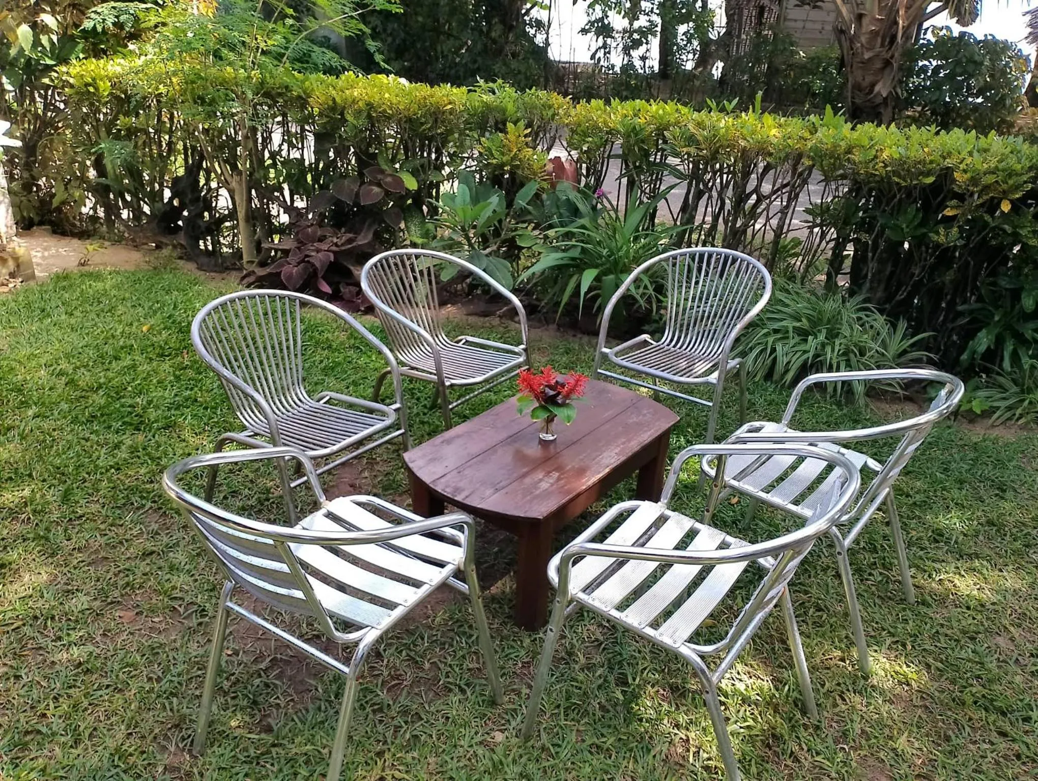 Garden in Chez Nath