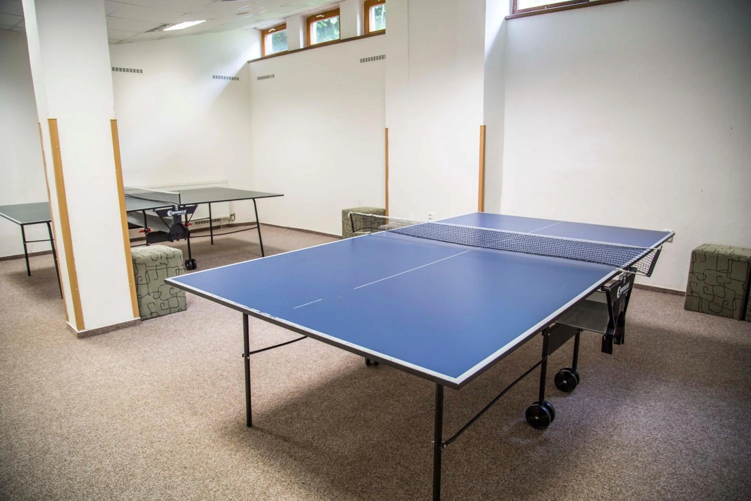 Area and facilities in Parkhotel Harrachov