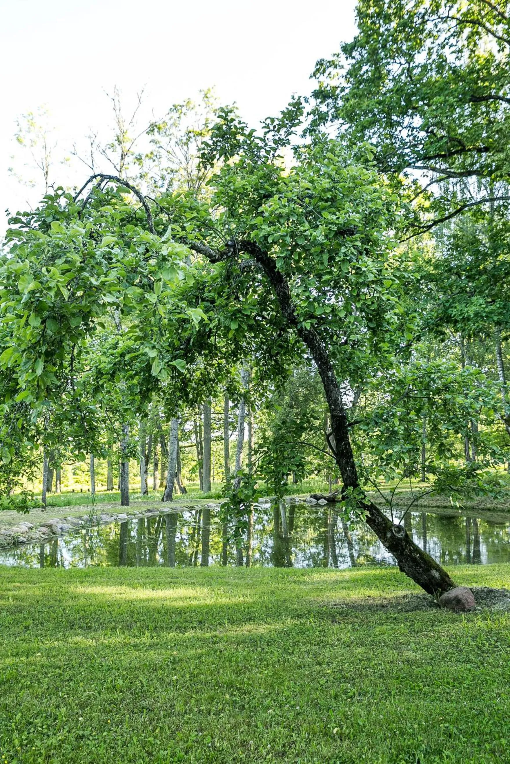 Natural landscape in Lindenhoff