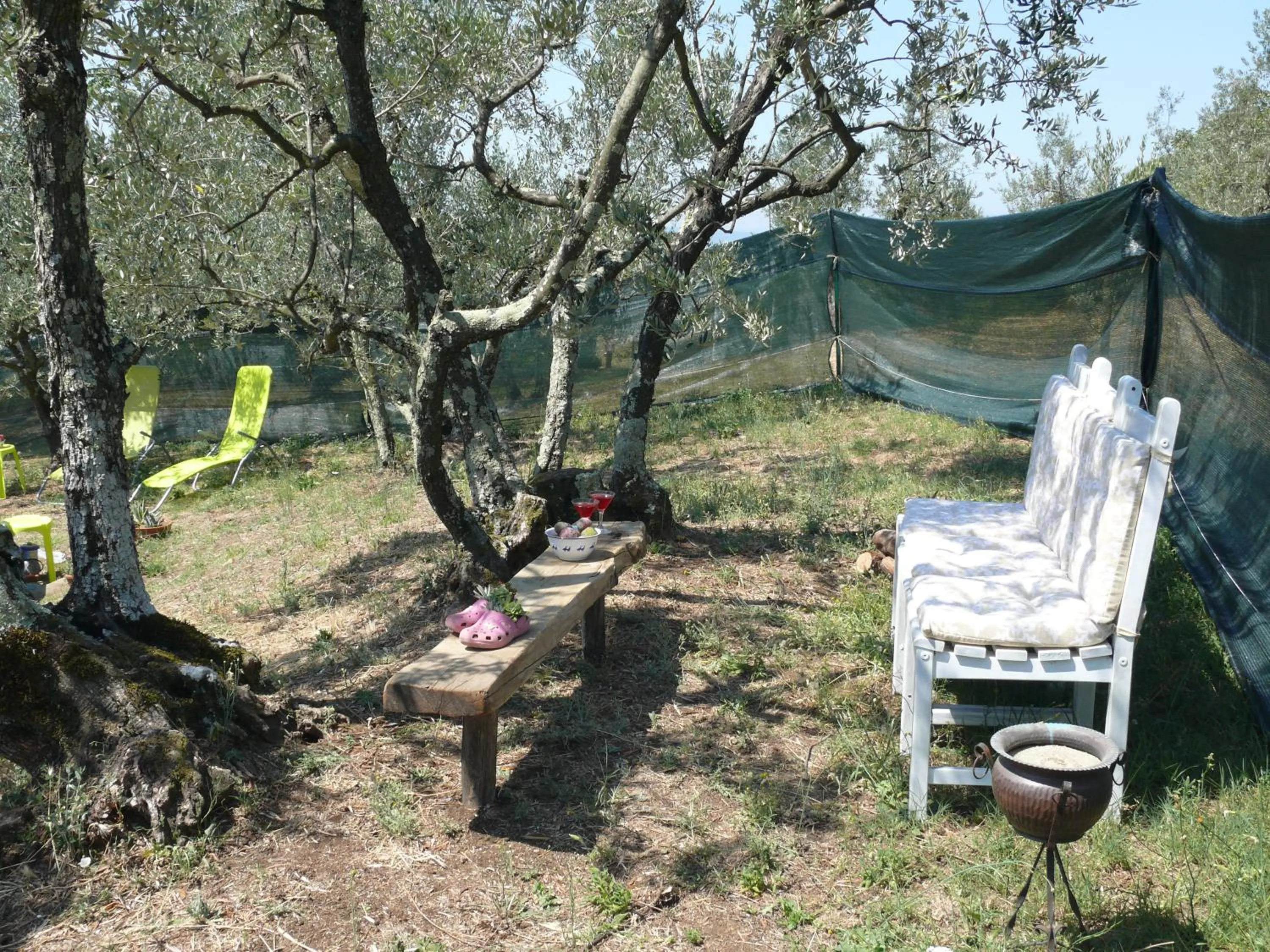 Garden in Antica Bottega di Vinci