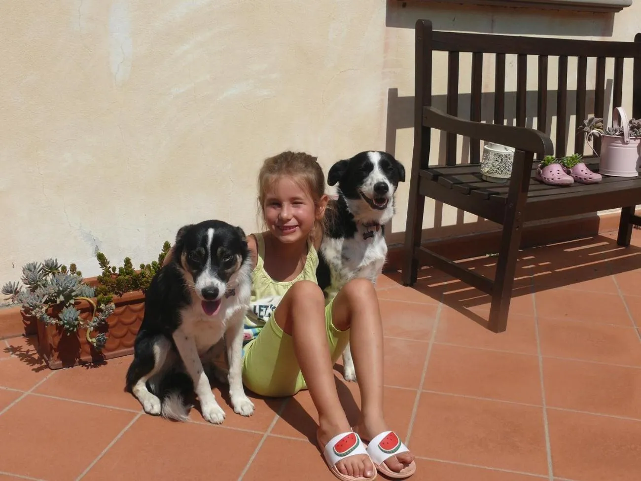 Pets in Antica Bottega di Vinci