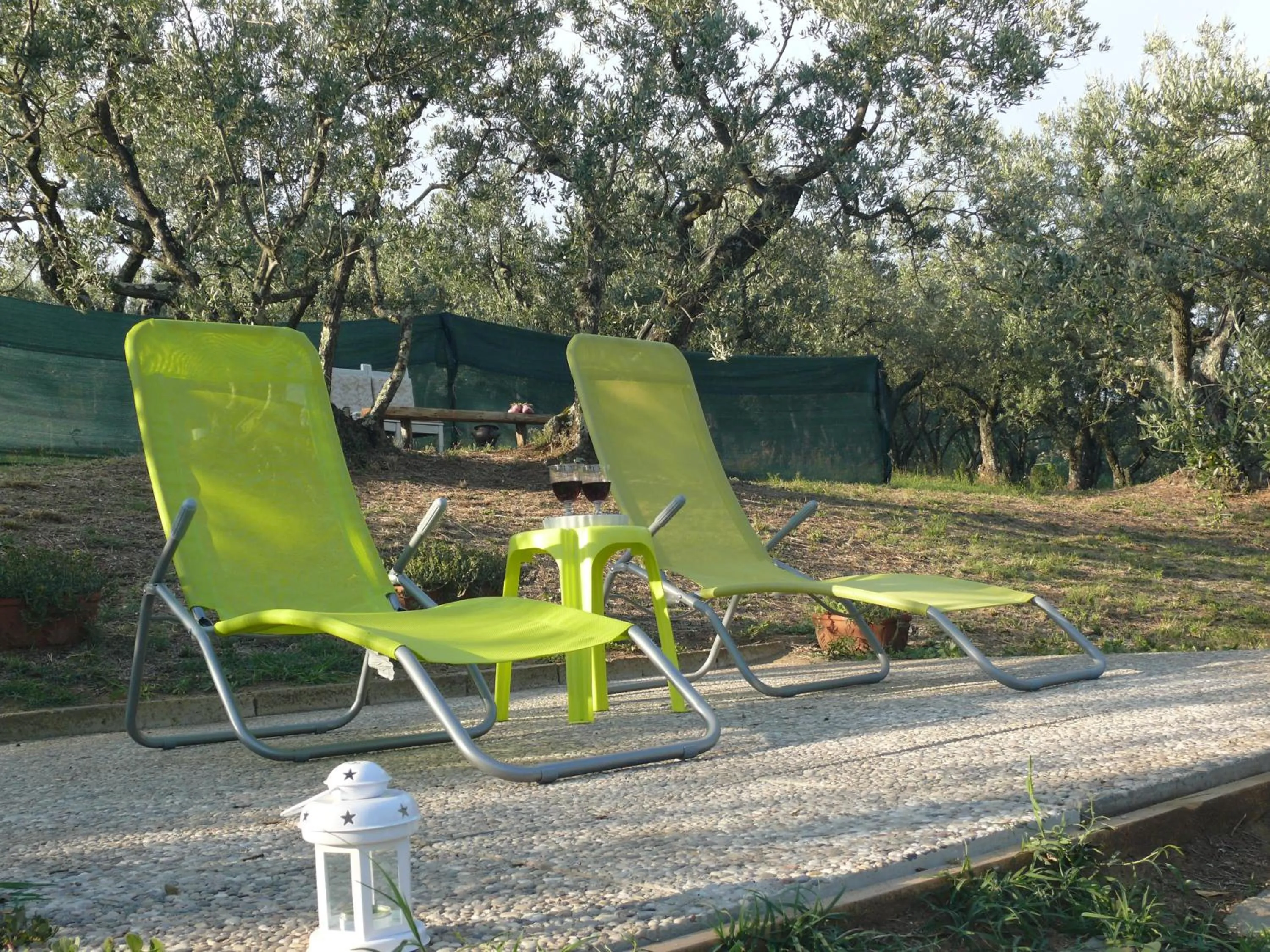 Garden in Antica Bottega di Vinci