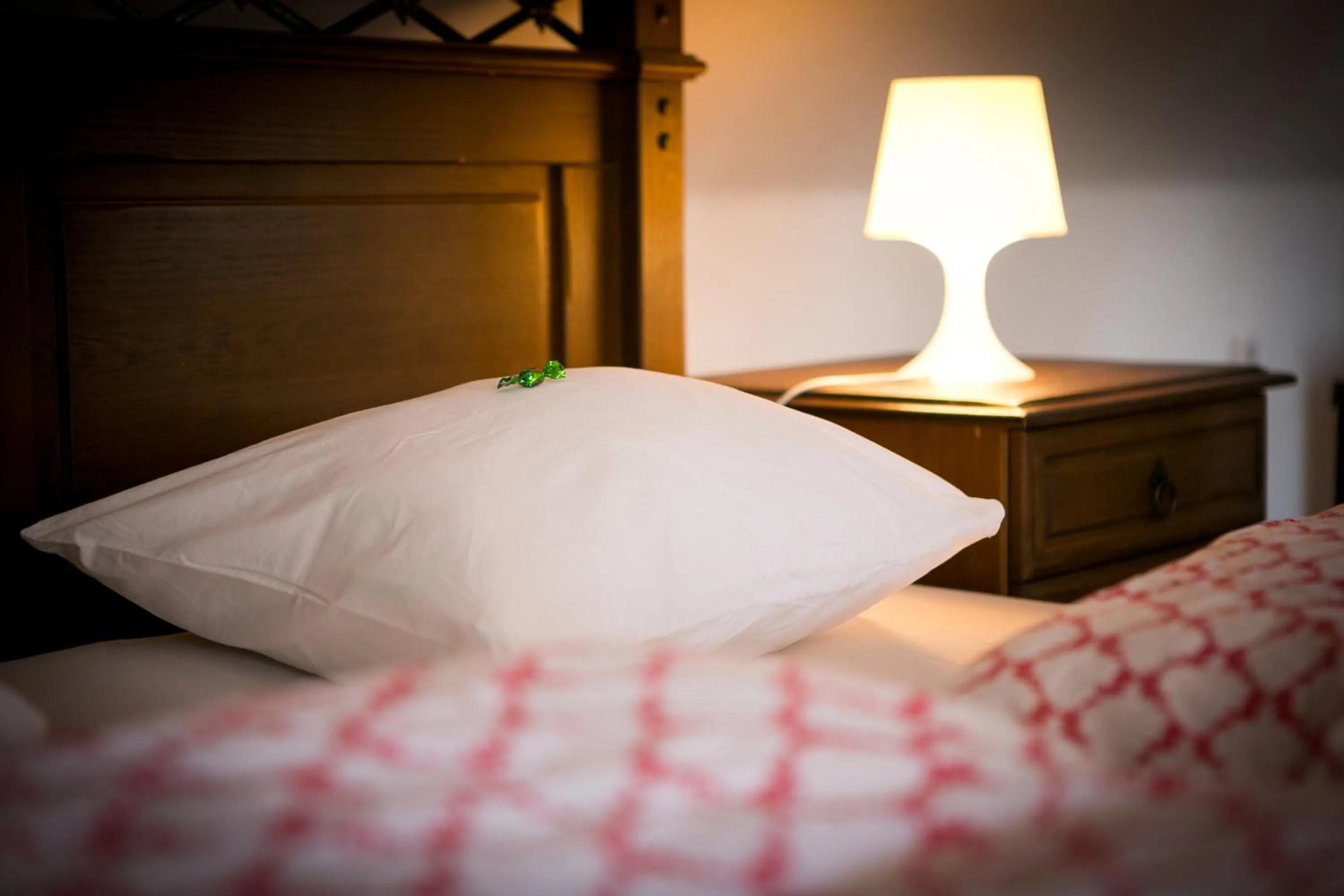 Bed in Pension U Zámku