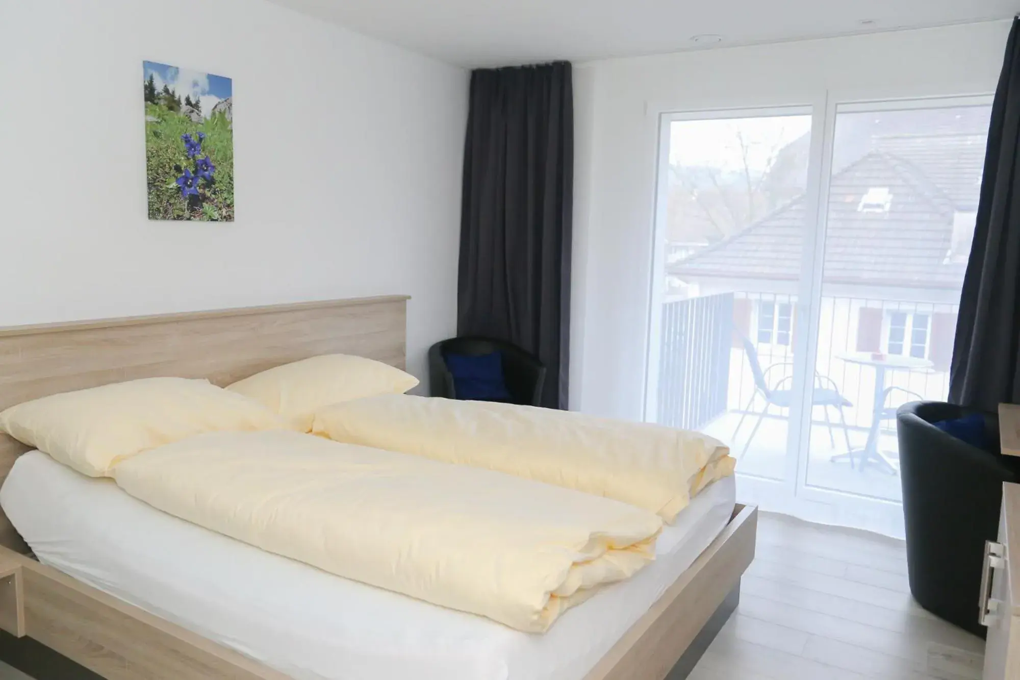 Double Room - single occupancy in Hotel Traube Garni Double Room - single occupancy in Hotel Traube Garni