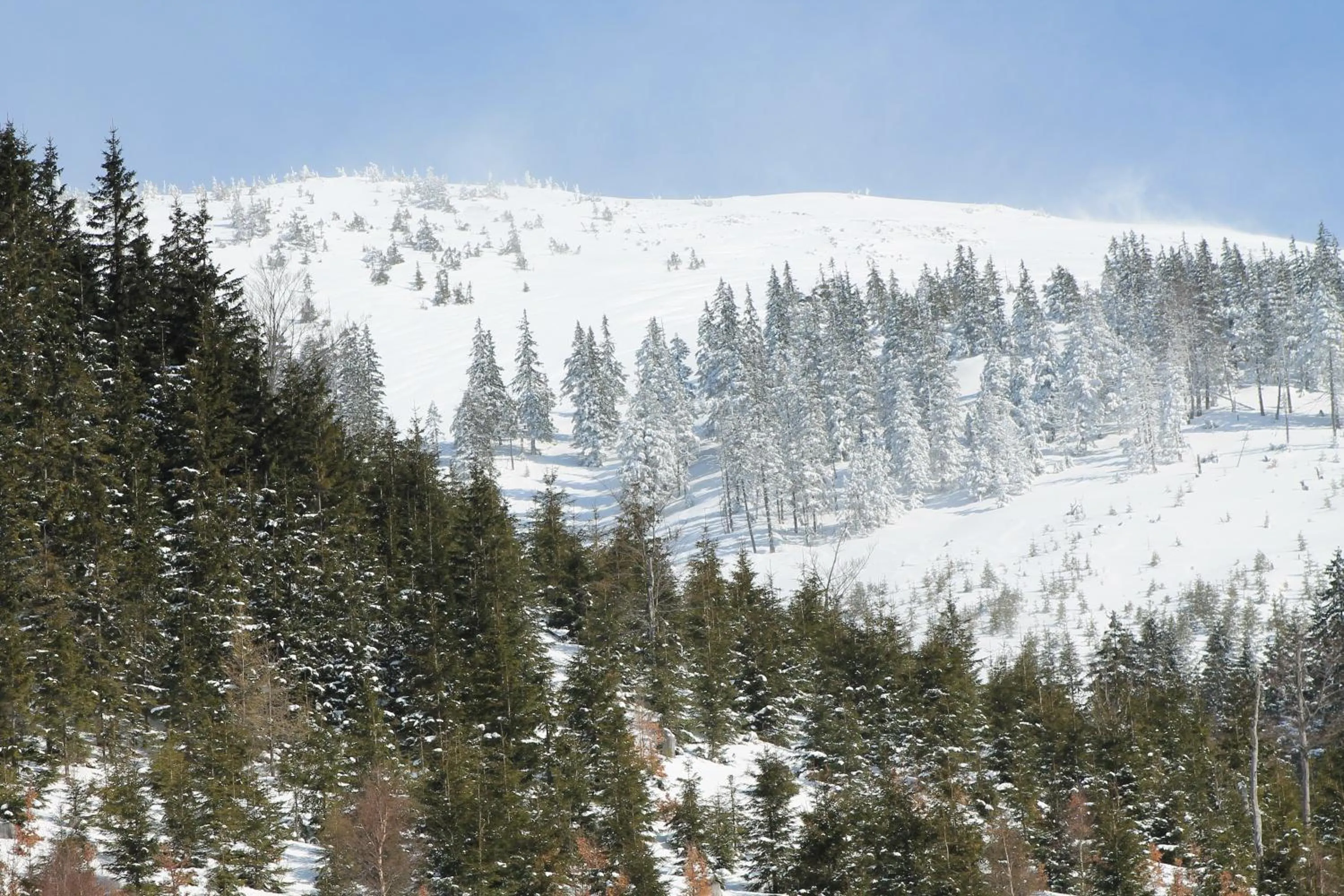 Area and facilities in Hotel Esprit