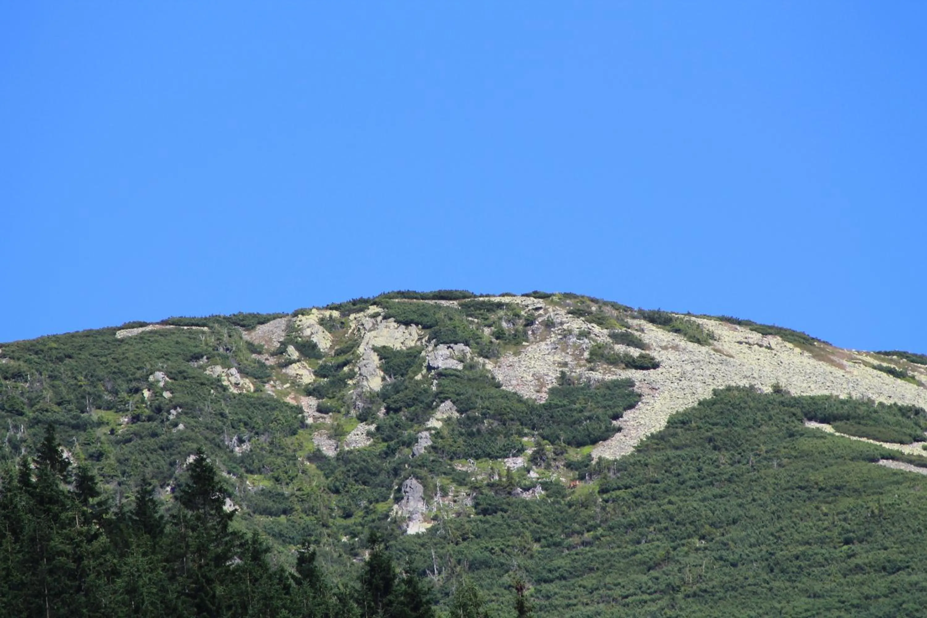 Other in Hotel Esprit