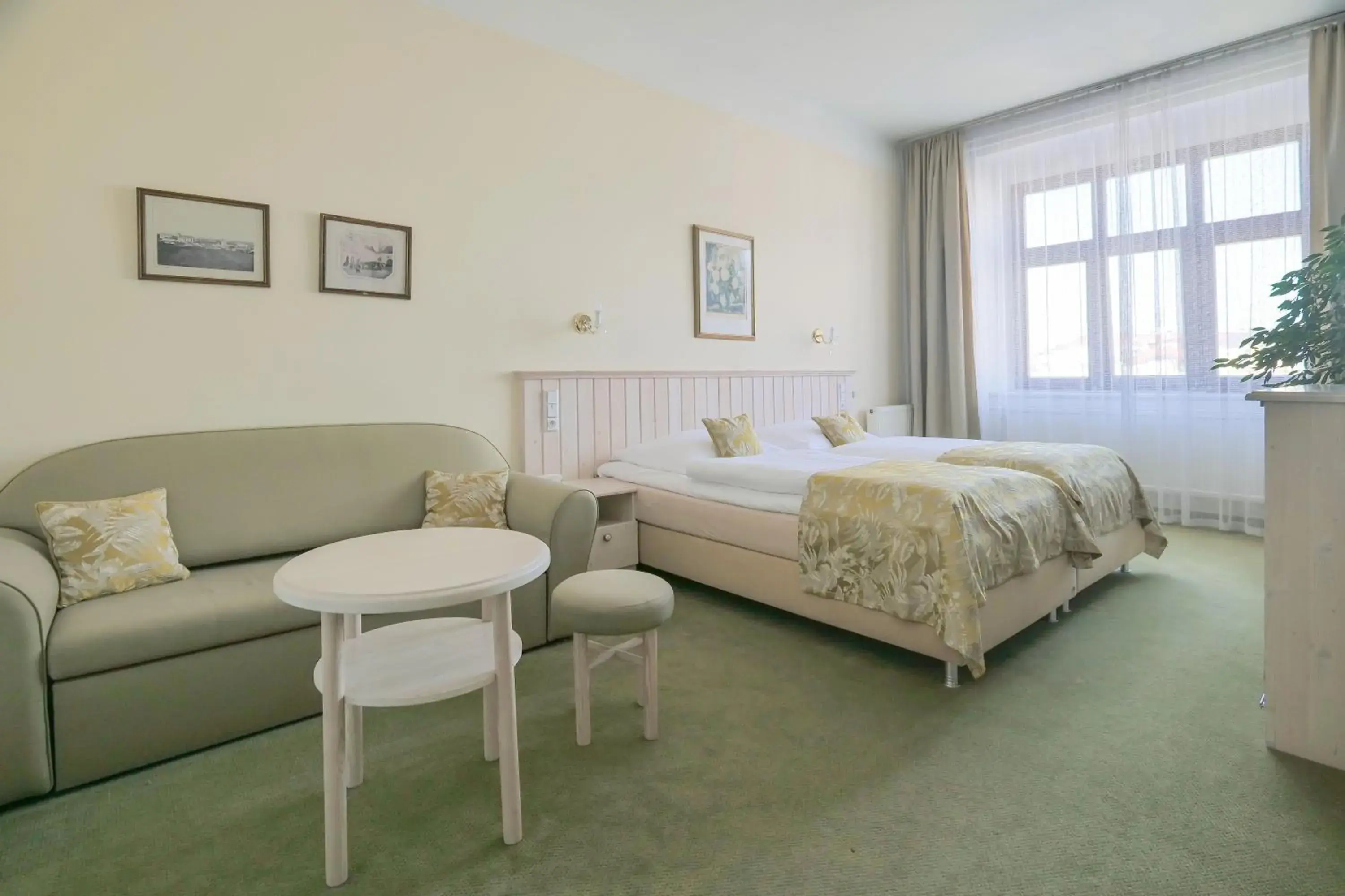 Double or Twin Room - single occupancy in Hotel Zlatá Hvězda Double or Twin Room - single occupancy in Hotel Zlatá Hvězda