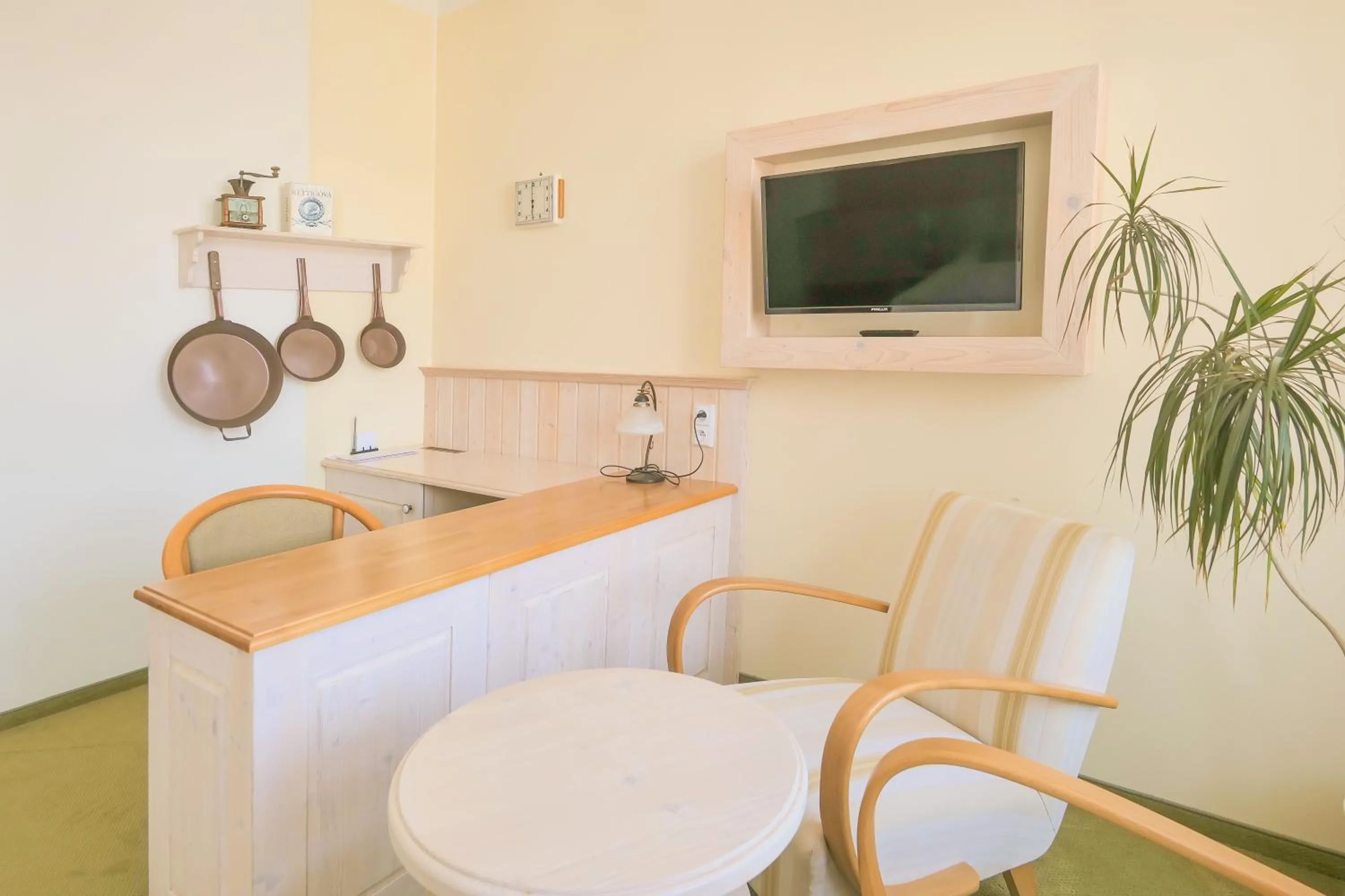 TV and multimedia in Hotel Zlatá Hvězda