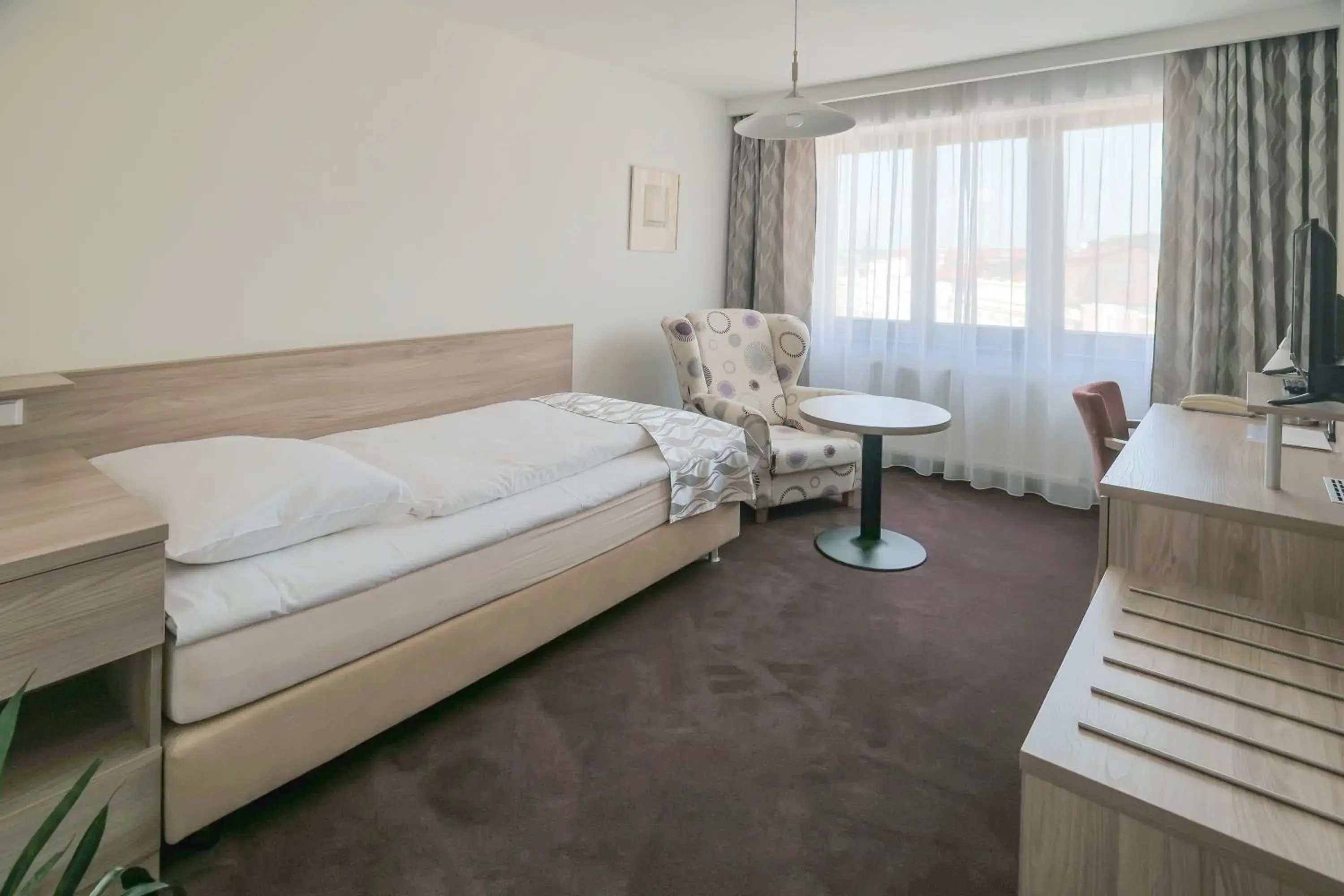 Single Room in Hotel Zlatá Hvězda Single Room in Hotel Zlatá Hvězda