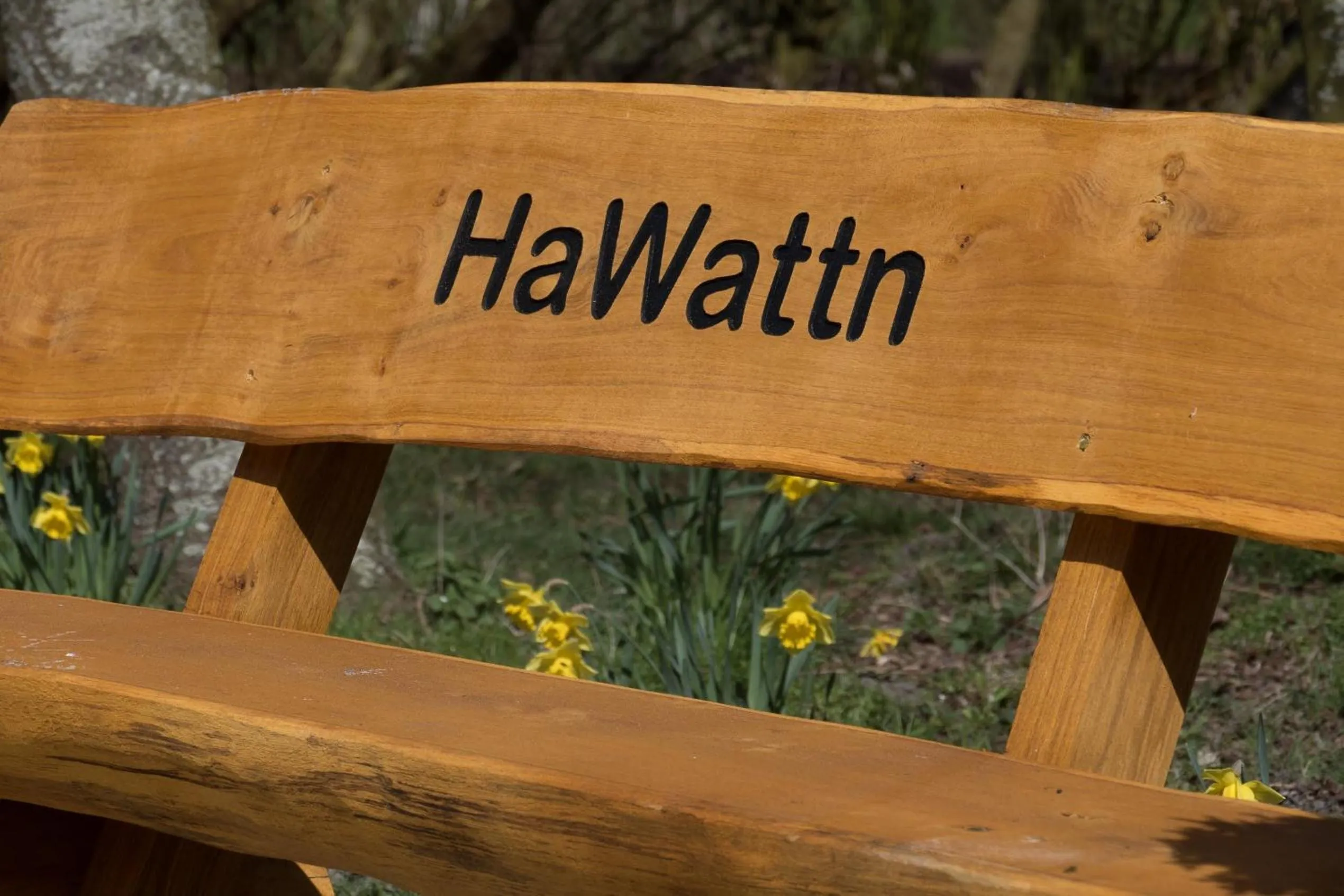 Garden in Hotel HaWattn