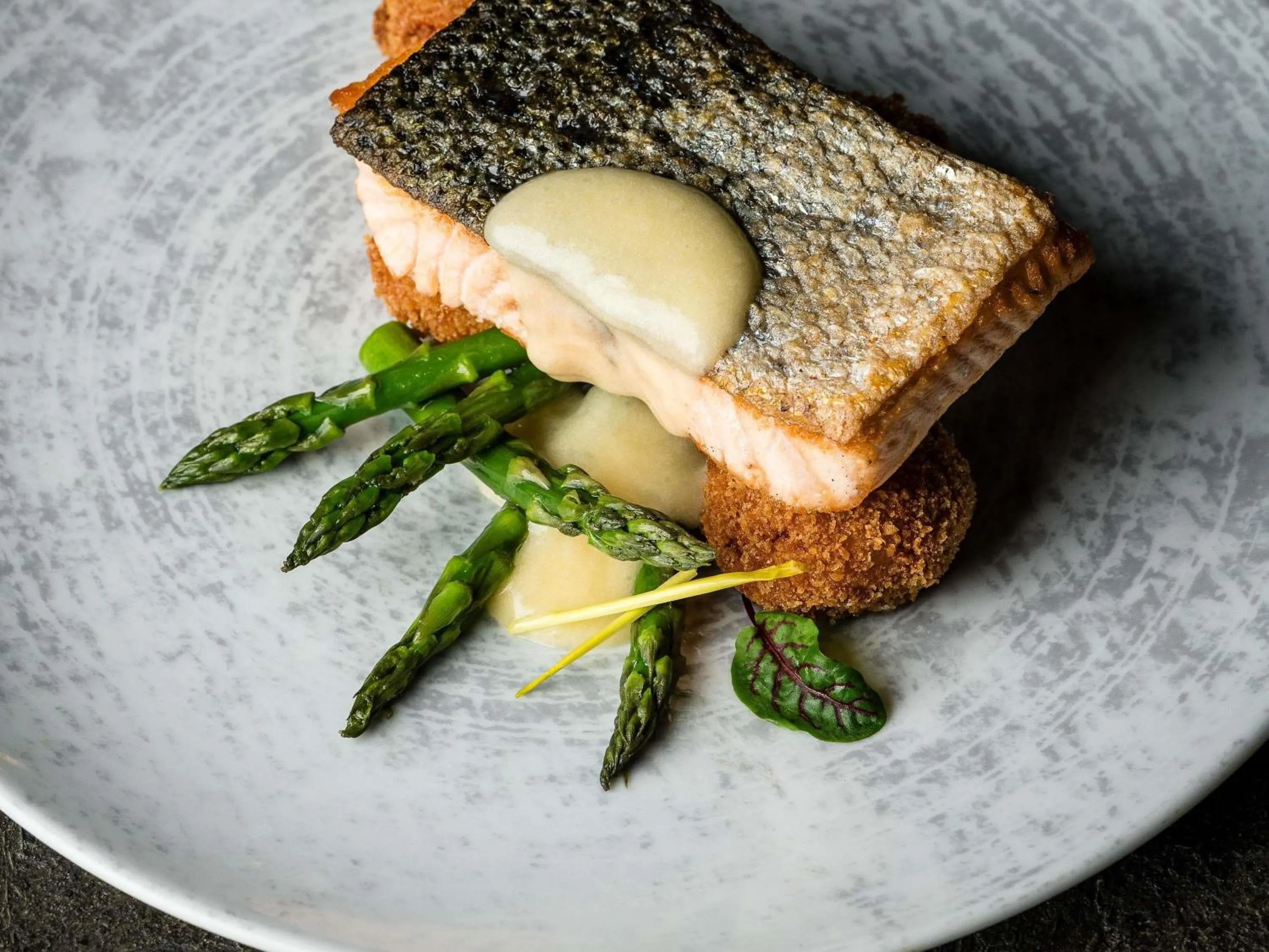 Restaurant/places to eat in Fairmont Hotel Macdonald