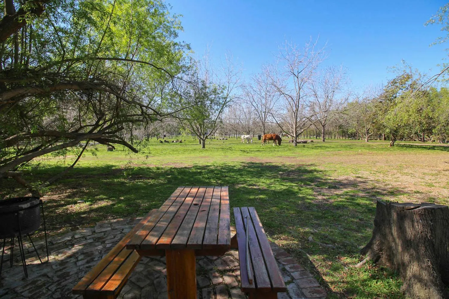 Garden in De Bos Cottages