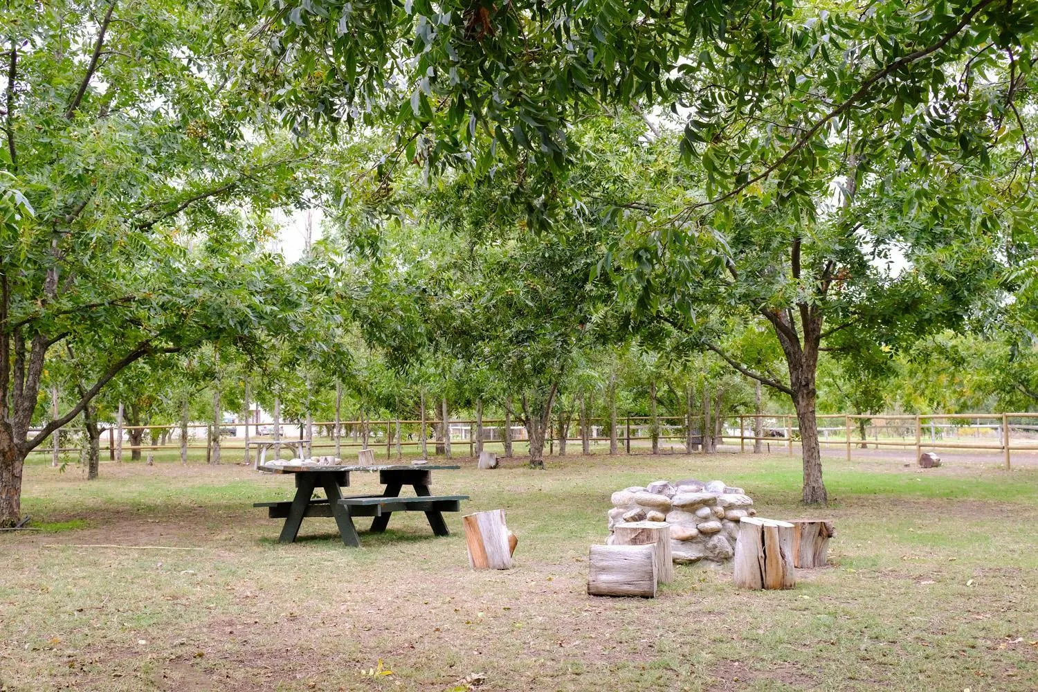 On site in De Bos Cottages