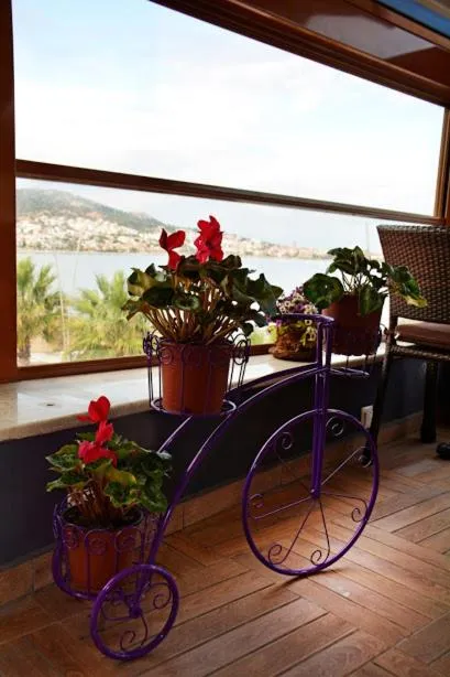 Restaurant/places to eat in Focamor Otel