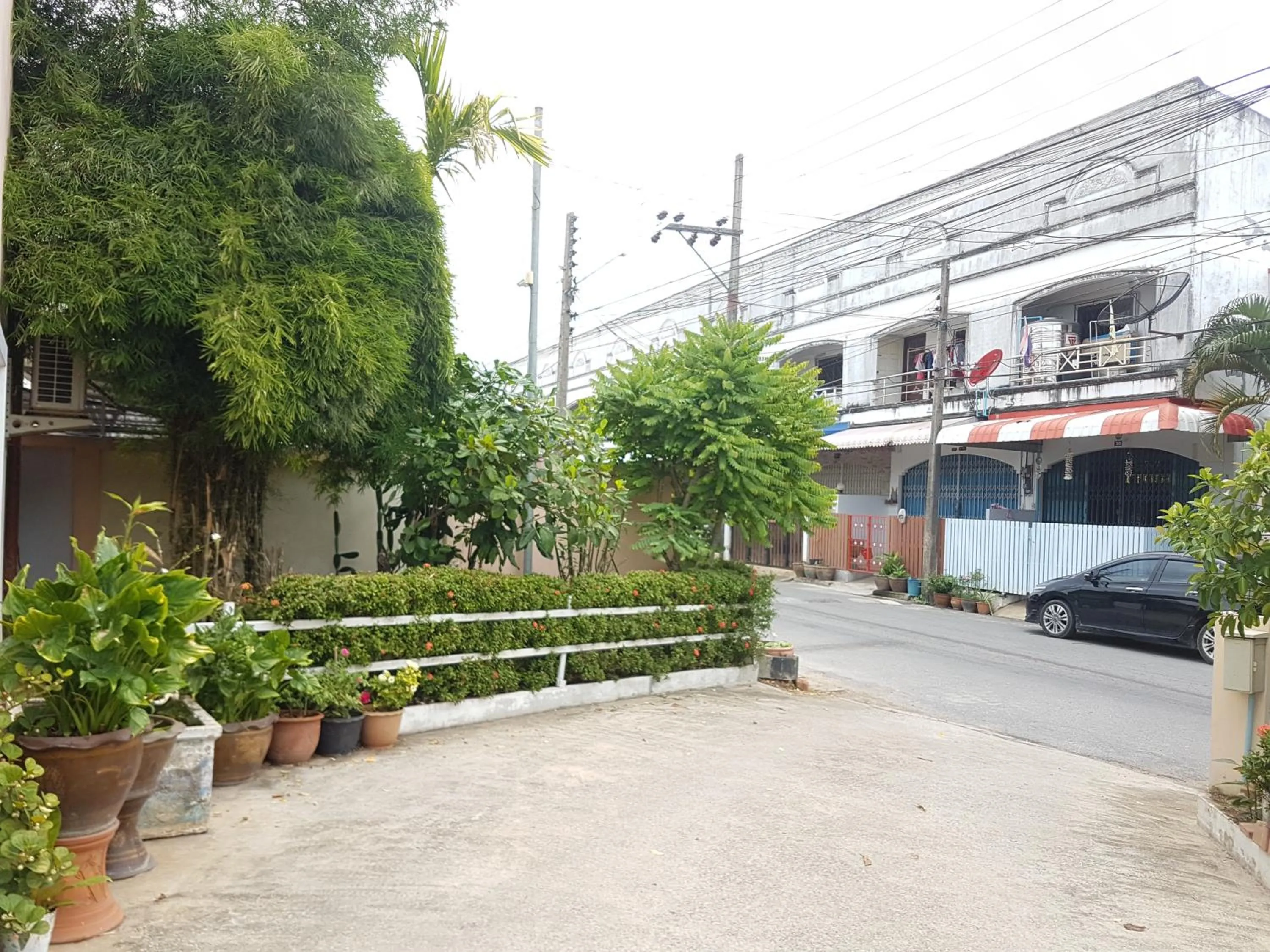 Natural landscape in The Star Villa Resort