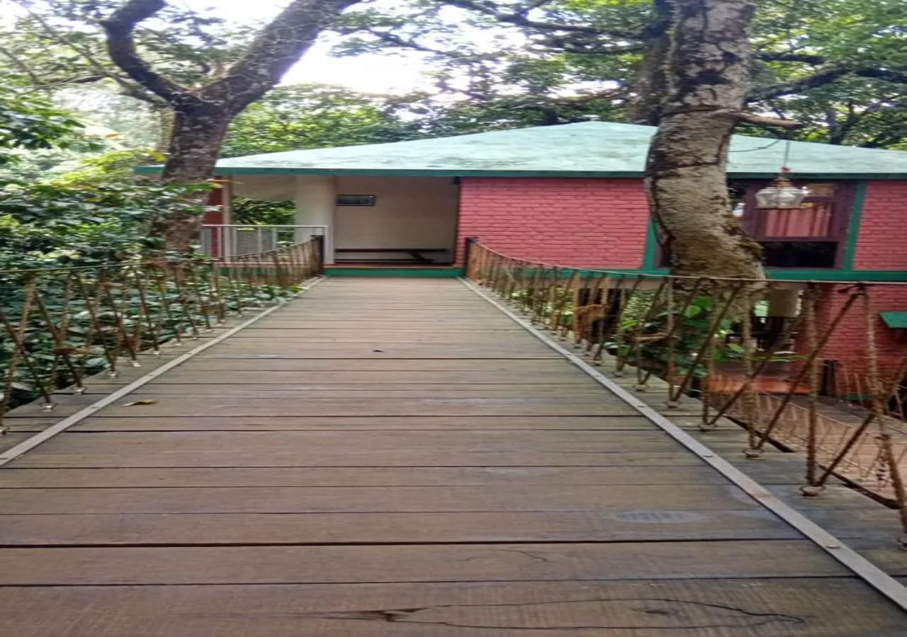 Day in Vagamon Heights