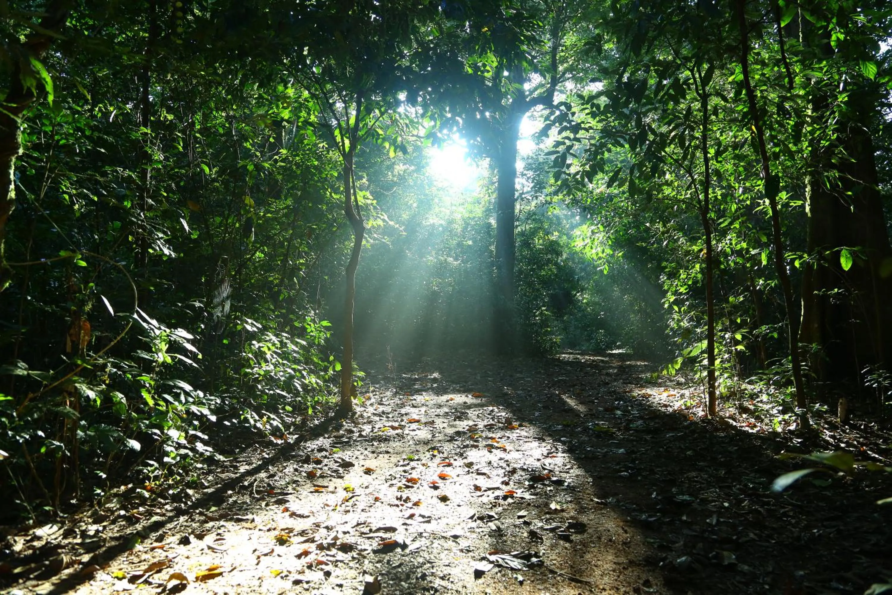 On site in Vagamon Heights