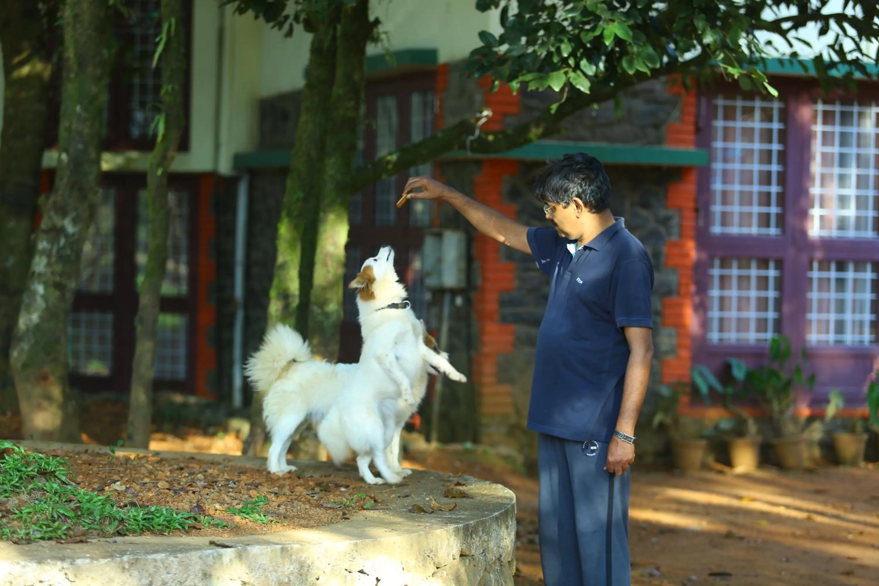 Pets in Vagamon Heights