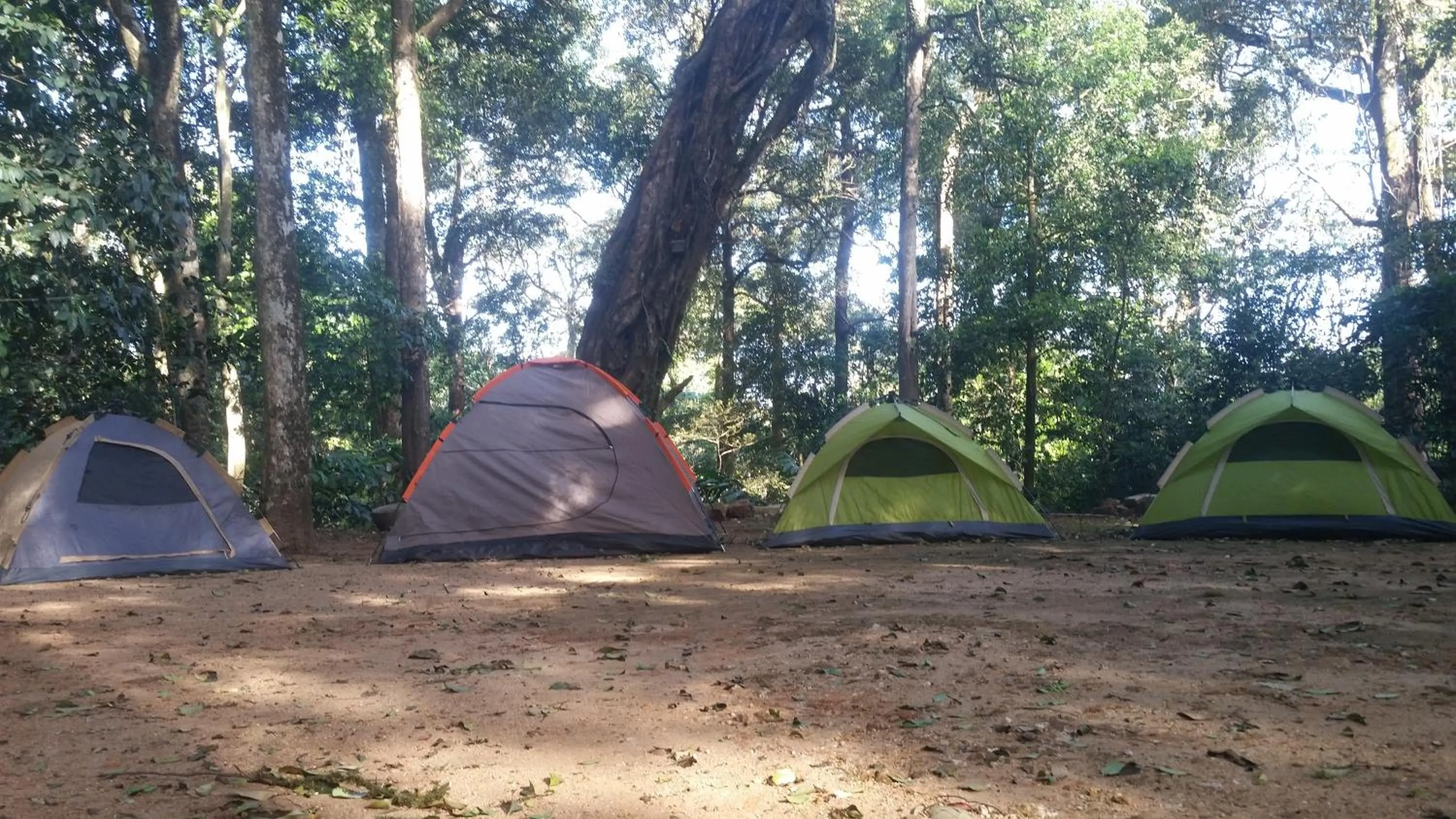 Area and facilities in Vagamon Heights