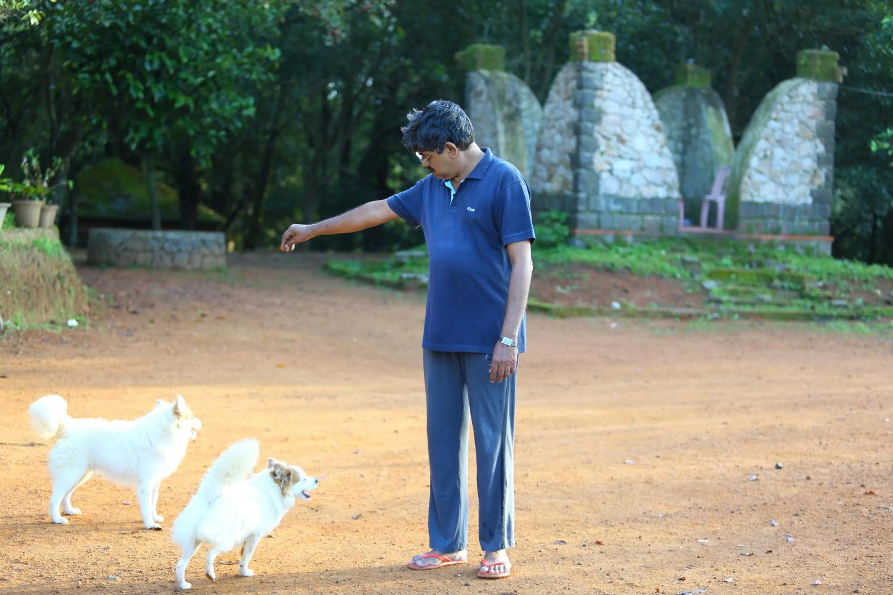 Pets in Vagamon Heights