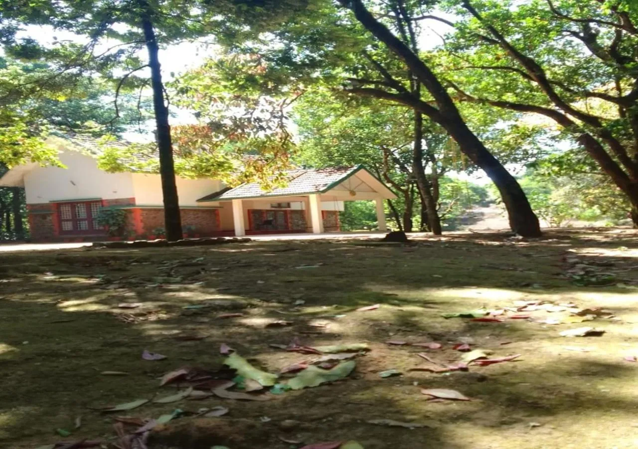 Natural landscape in Vagamon Heights