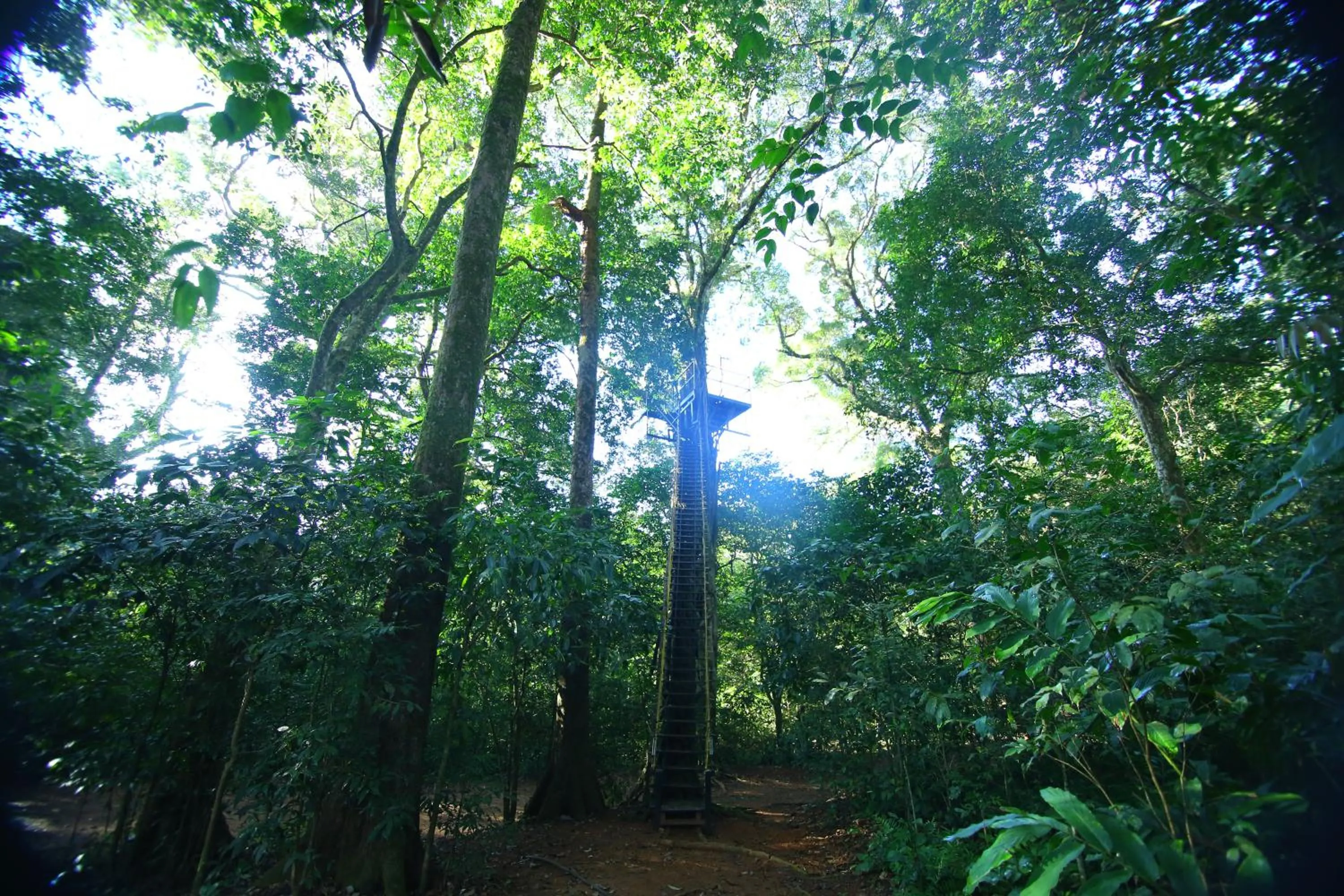 Balcony/Terrace in Vagamon Heights