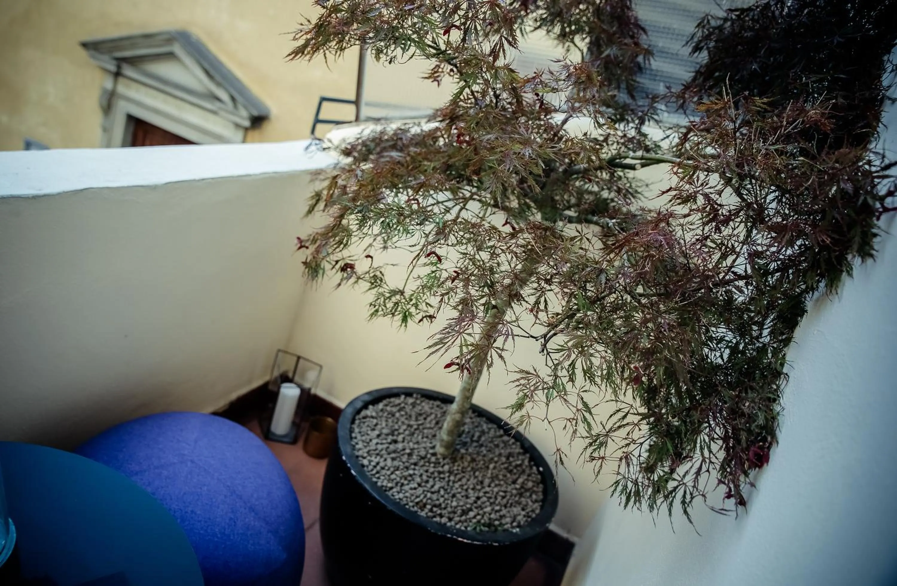 Other in Benci House