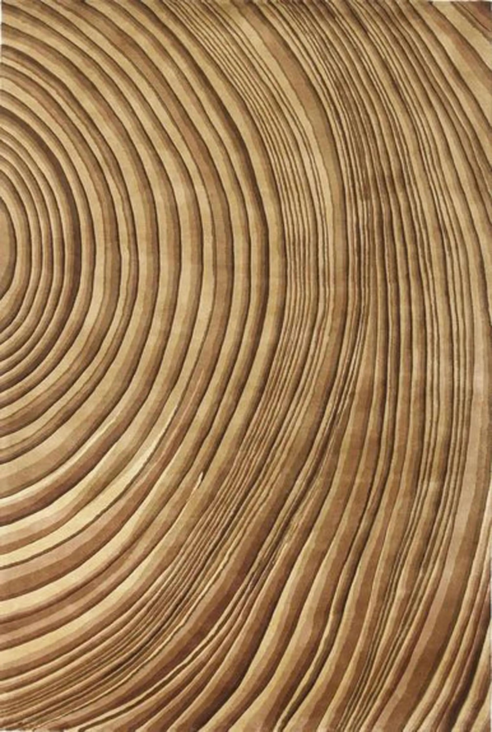 Property building in Benci House