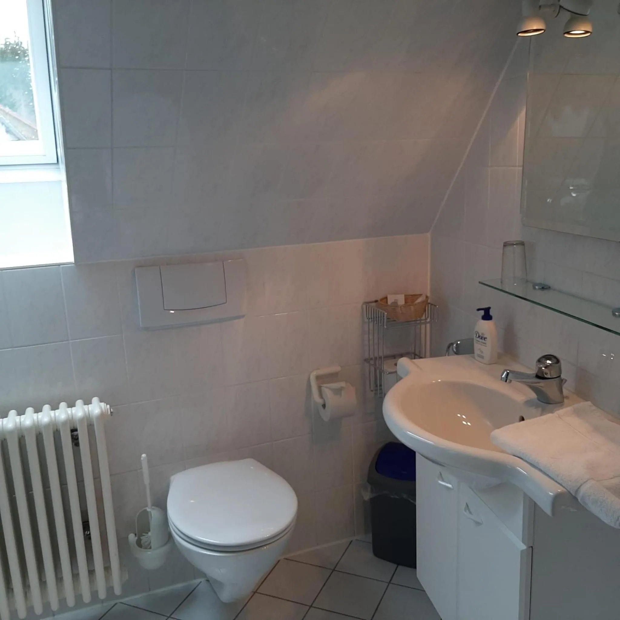 Toilet in Sunside Ferien Wellness Oase Hotel Apartment's Schwarzwald am Schluchsee