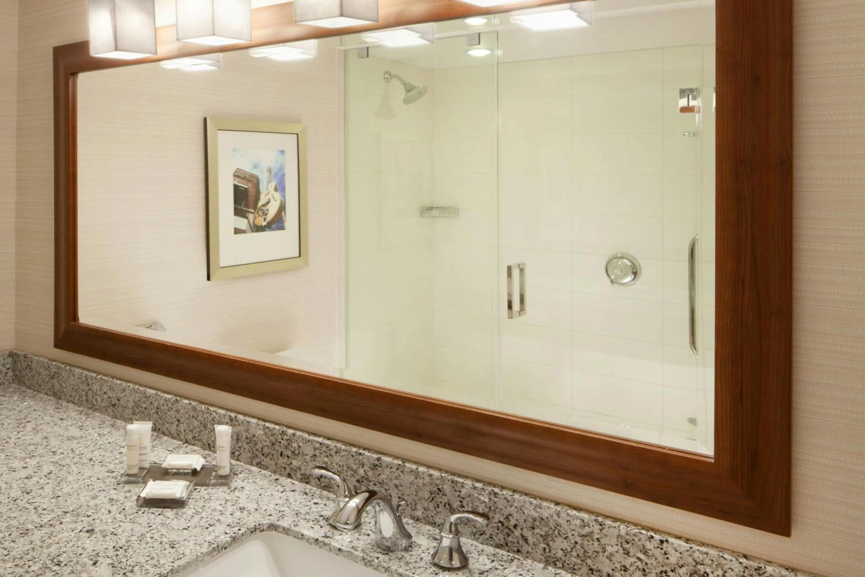 Bathroom in Marriott Memphis East