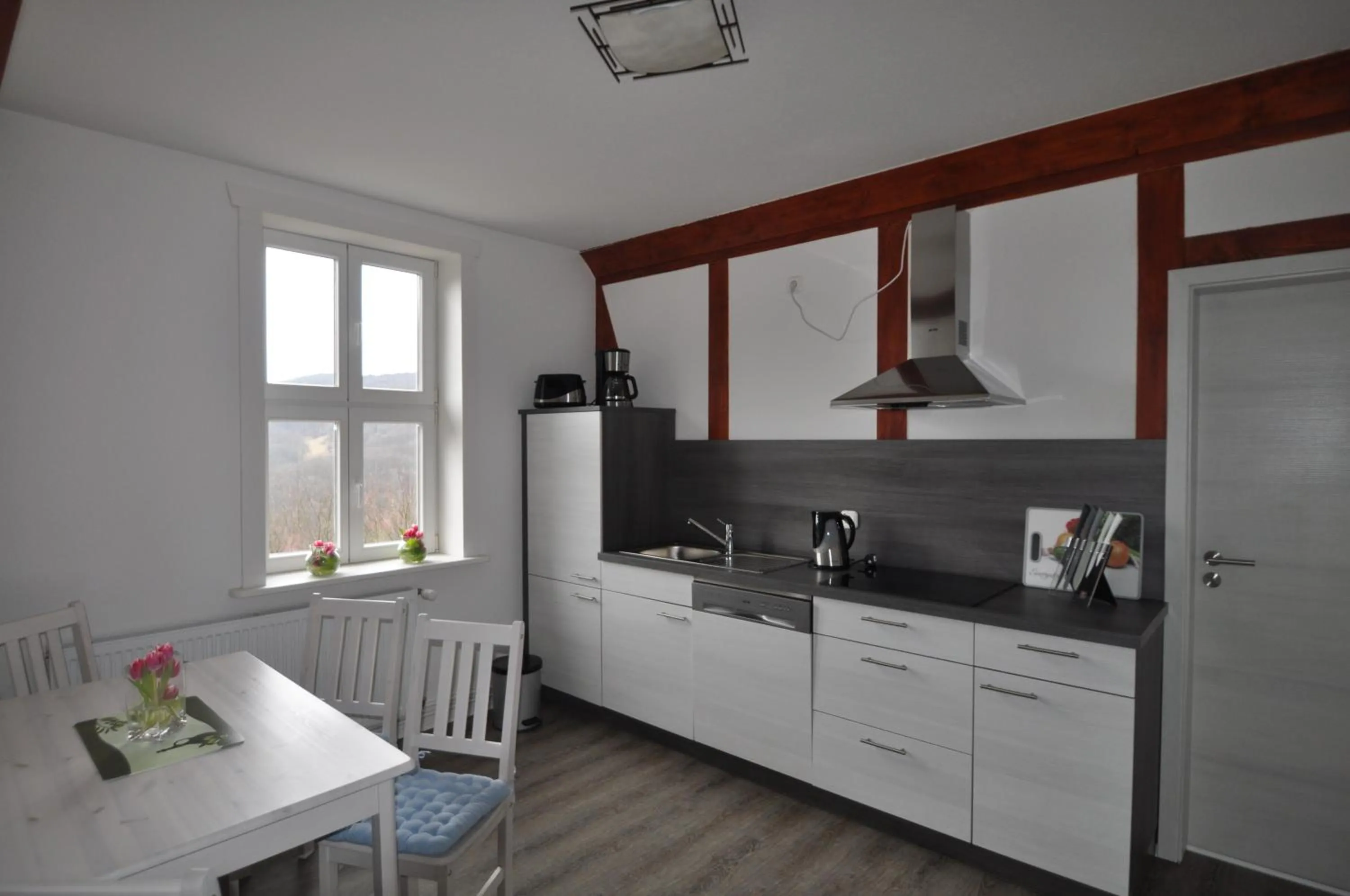 Kitchen or kitchenette in Gasthaus und Ferienwohnungen "Zum Büchsenmacher"
