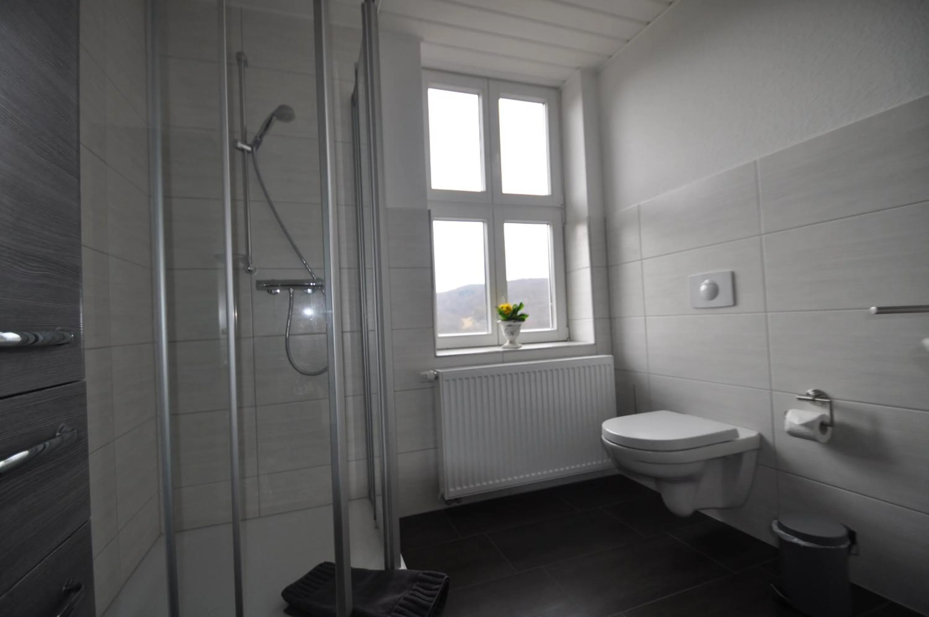 Shower in Gasthaus und Ferienwohnungen "Zum Büchsenmacher"