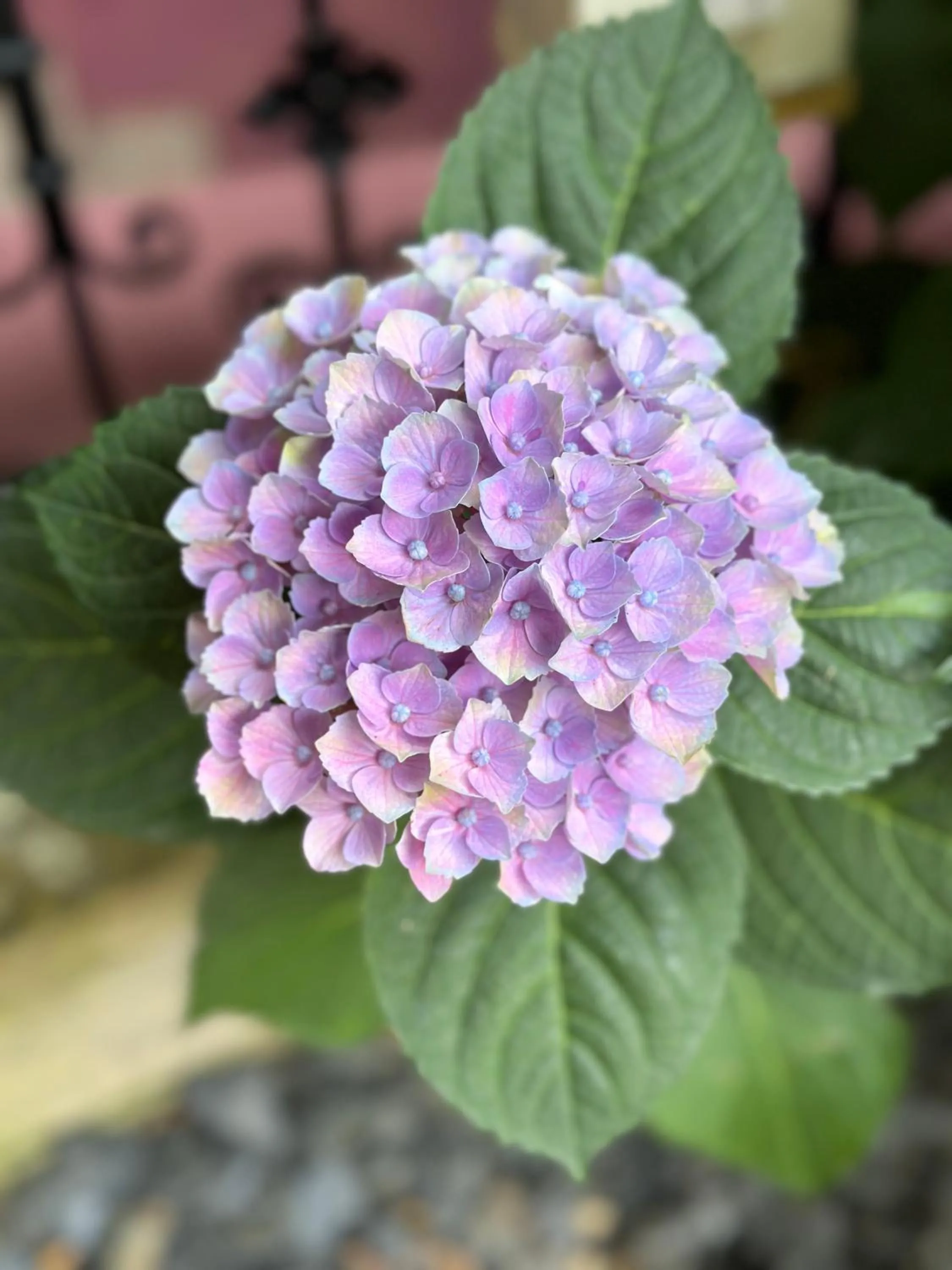 Auberge Le Meisenberg