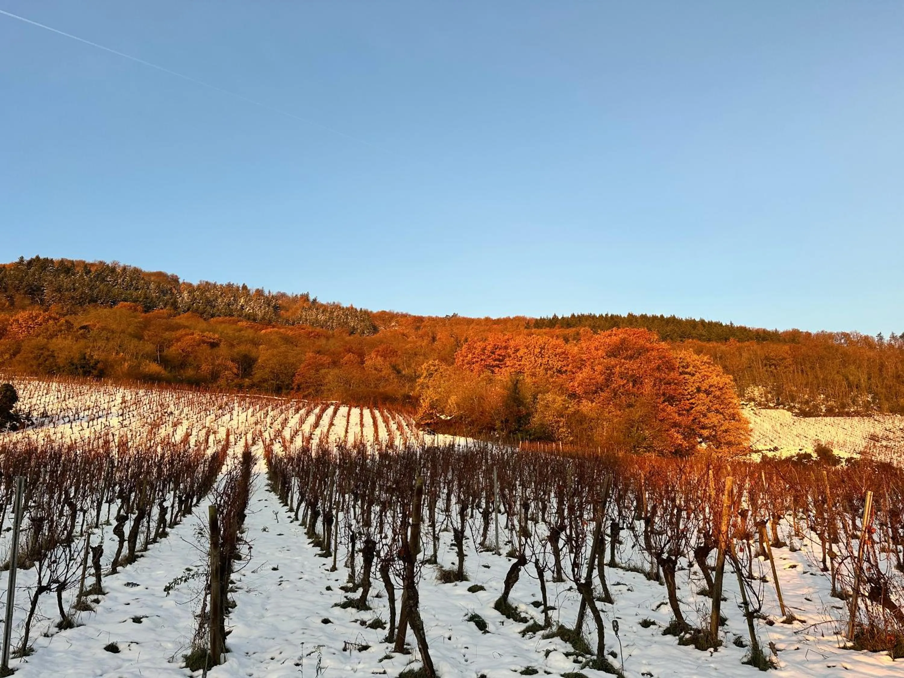 Auberge Le Meisenberg