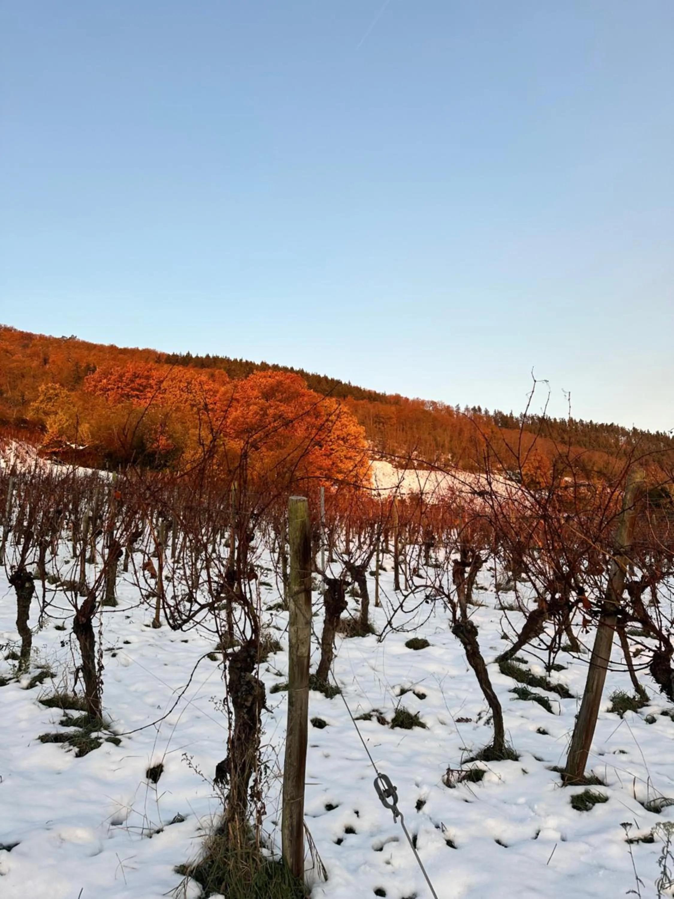 Auberge Le Meisenberg