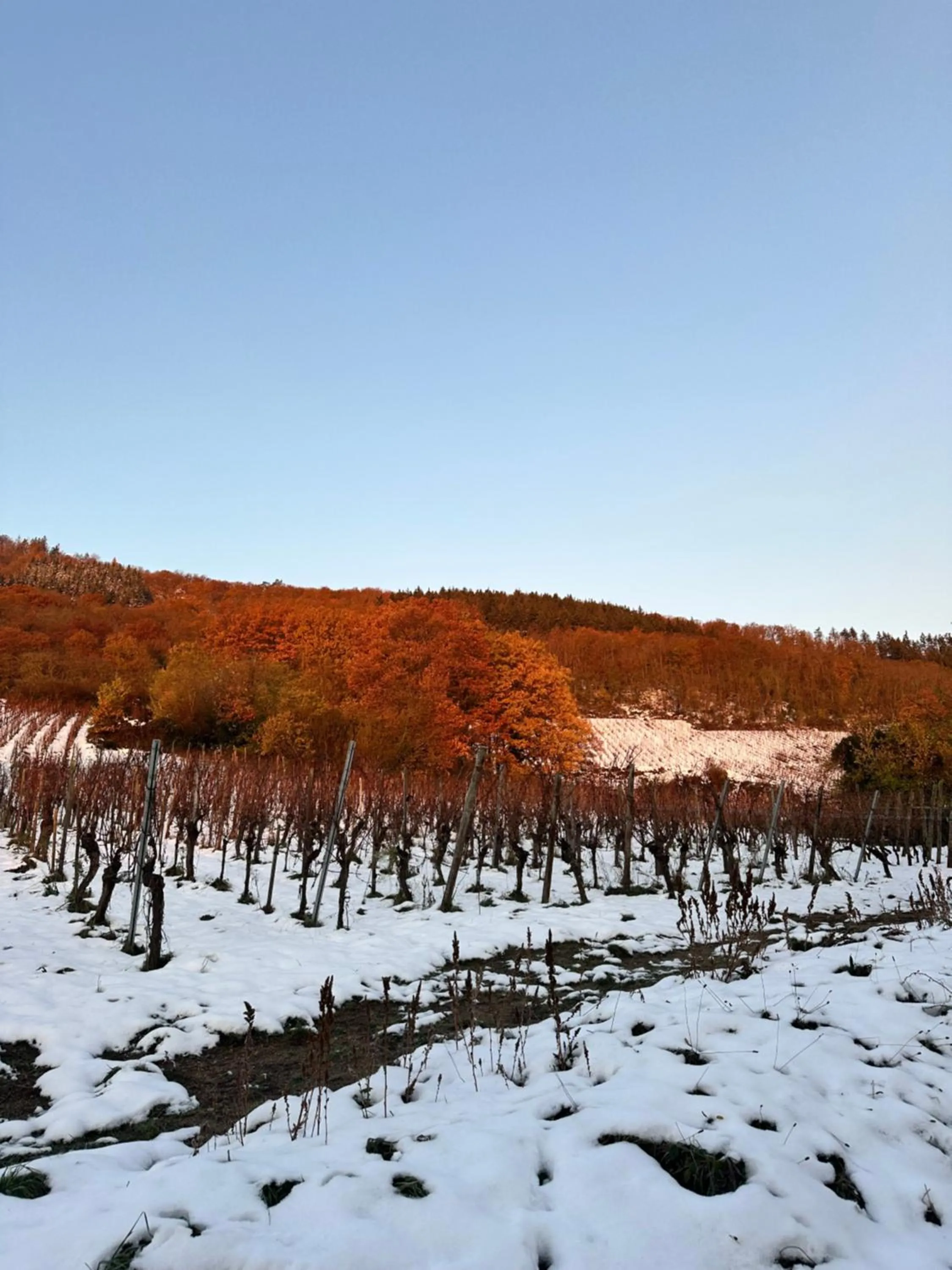 Auberge Le Meisenberg