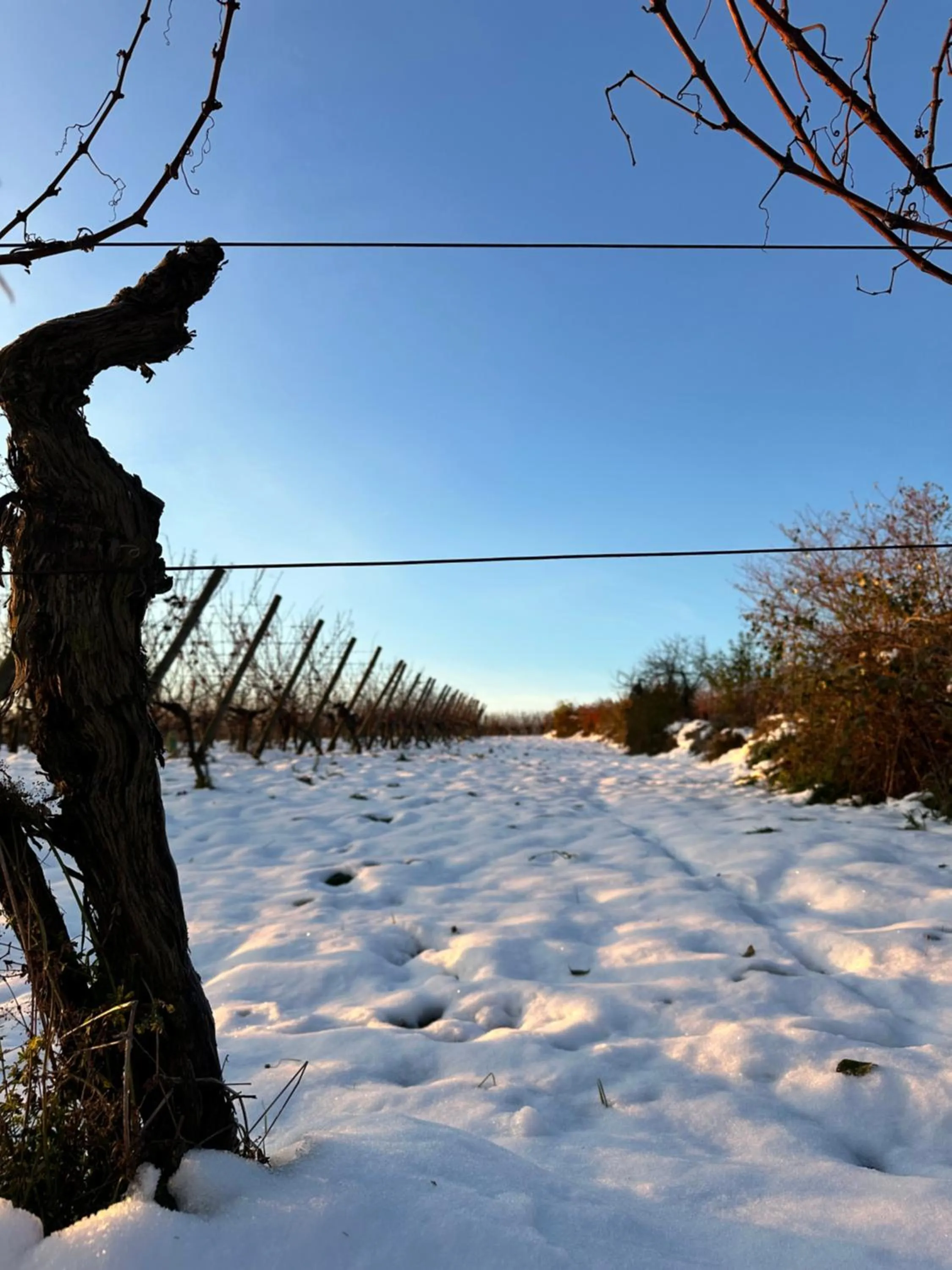 Auberge Le Meisenberg