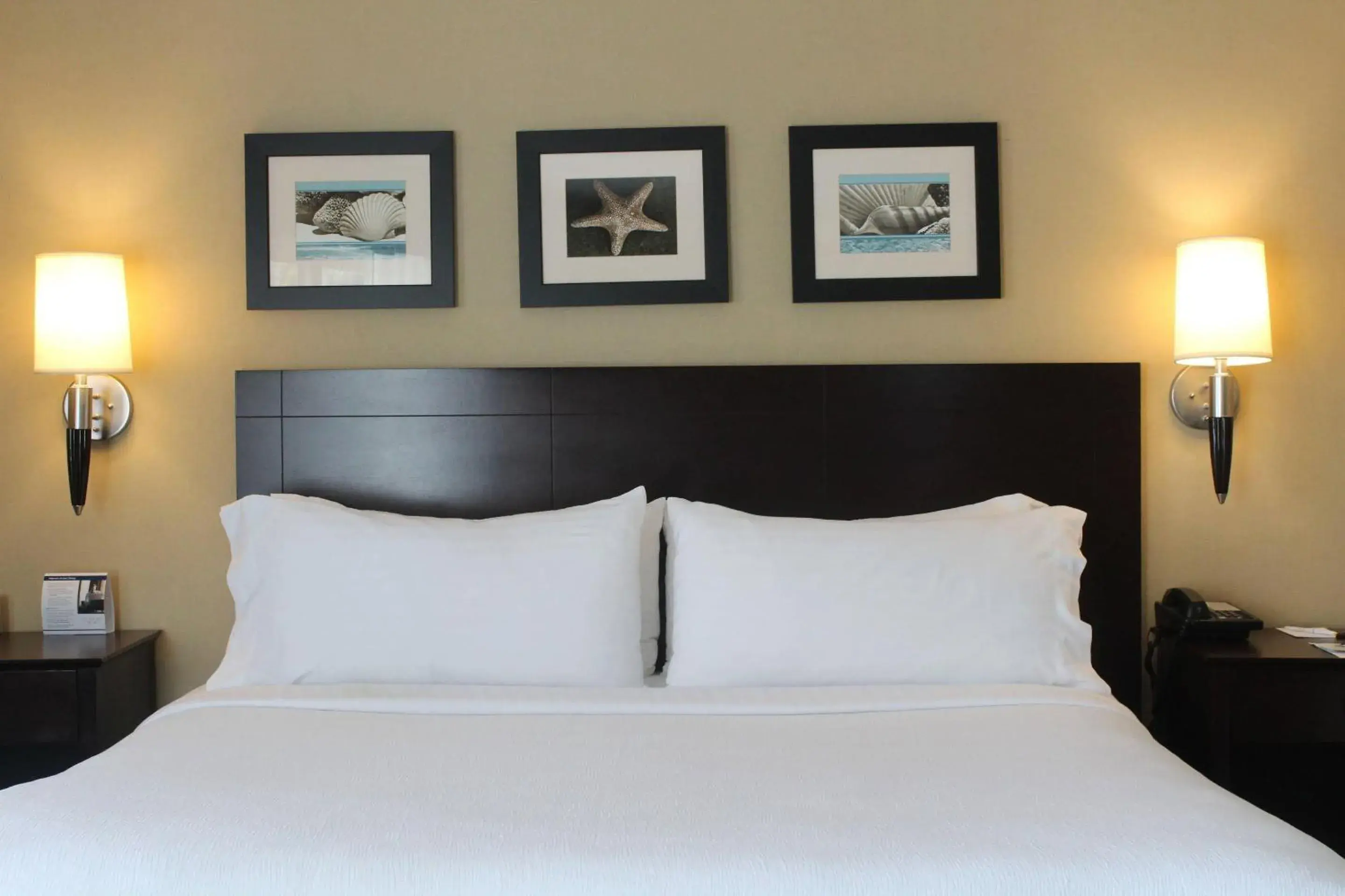 Bedroom, Bed in The Volare, an Ascend Collection Hotel Bedroom, Bed in The Volare, an Ascend Collection Hotel