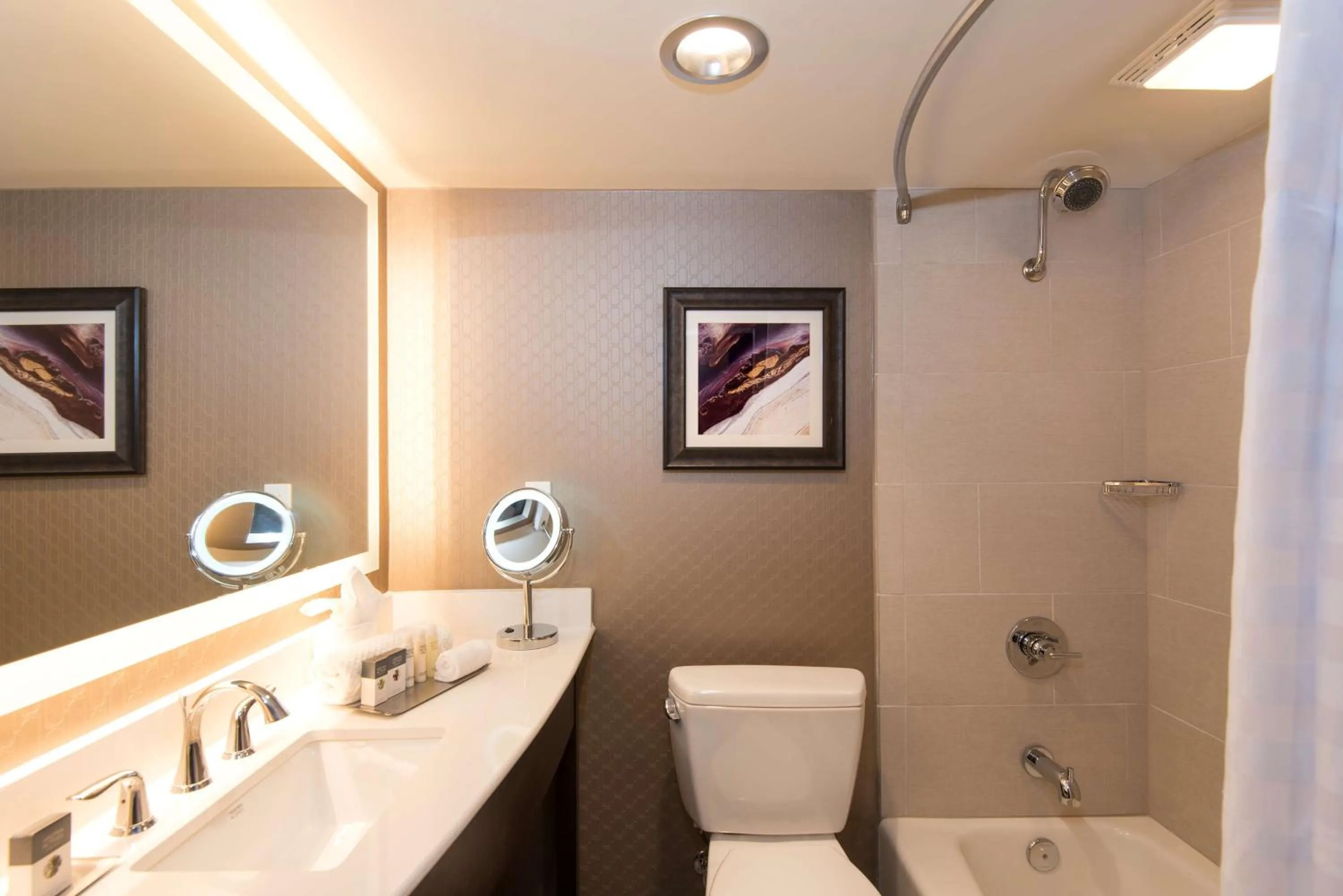 Bathroom in DoubleTree by Hilton Schenectady