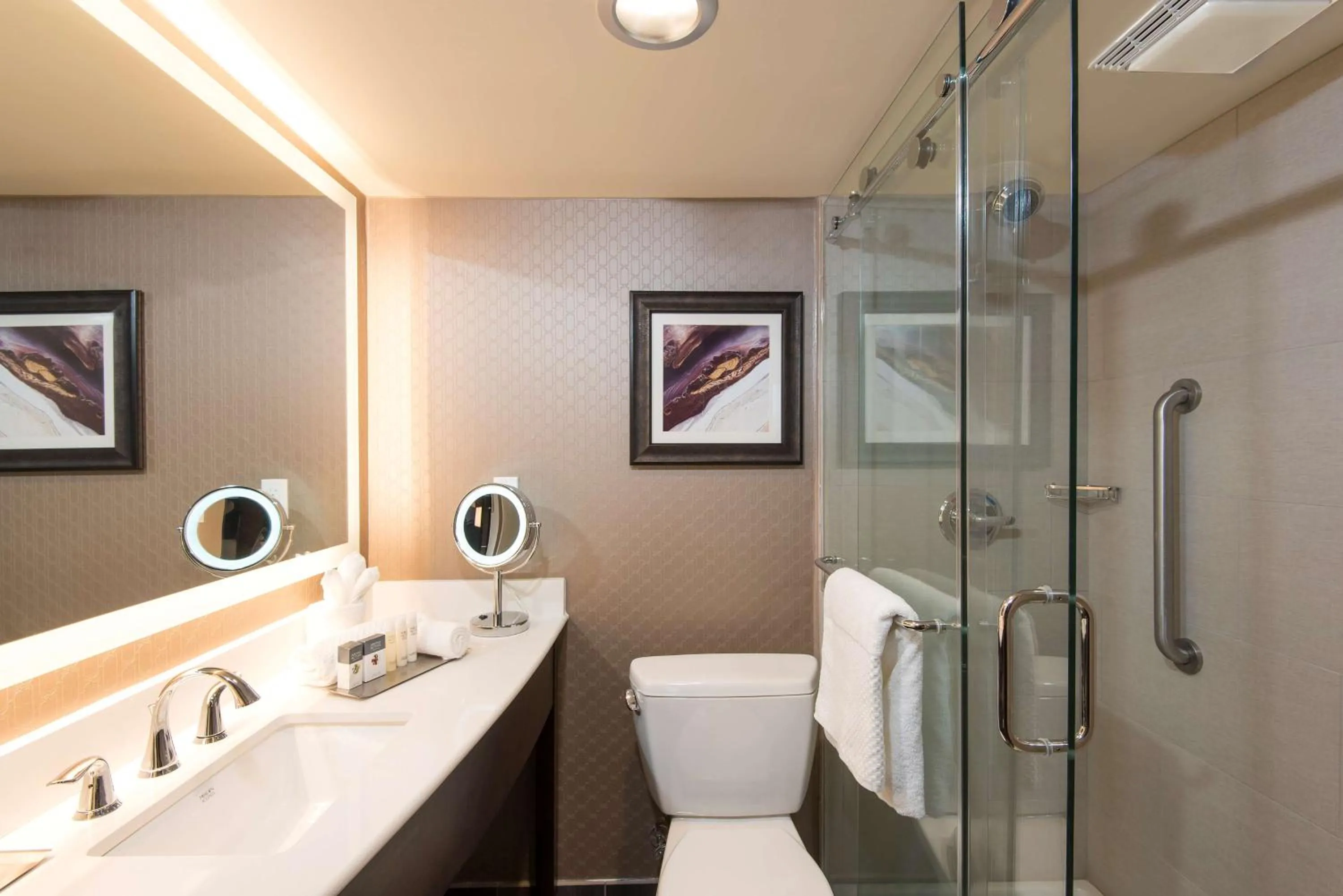 Bathroom in DoubleTree by Hilton Schenectady