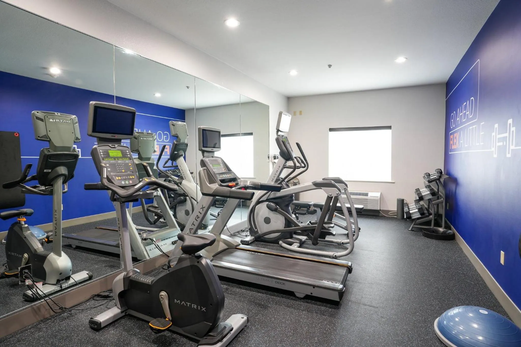 Fitness centre/facilities in Holiday Inn Express Hotel & Suites Cedar Hill by IHG